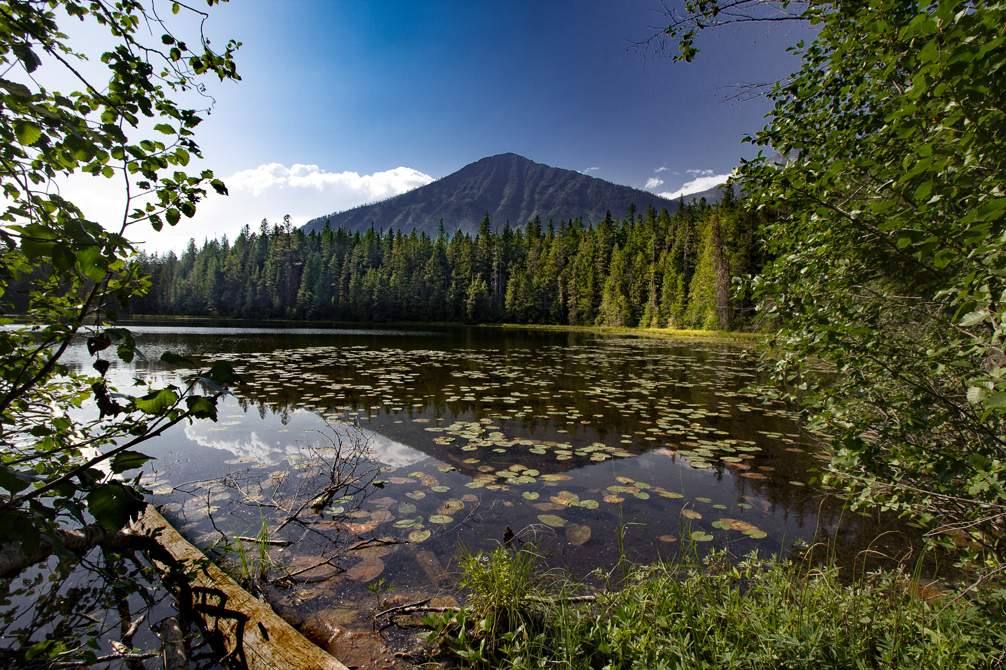 Canon EOS 600D (Rebel EOS T3i / EOS Kiss X5) sample photo. John's lake photography