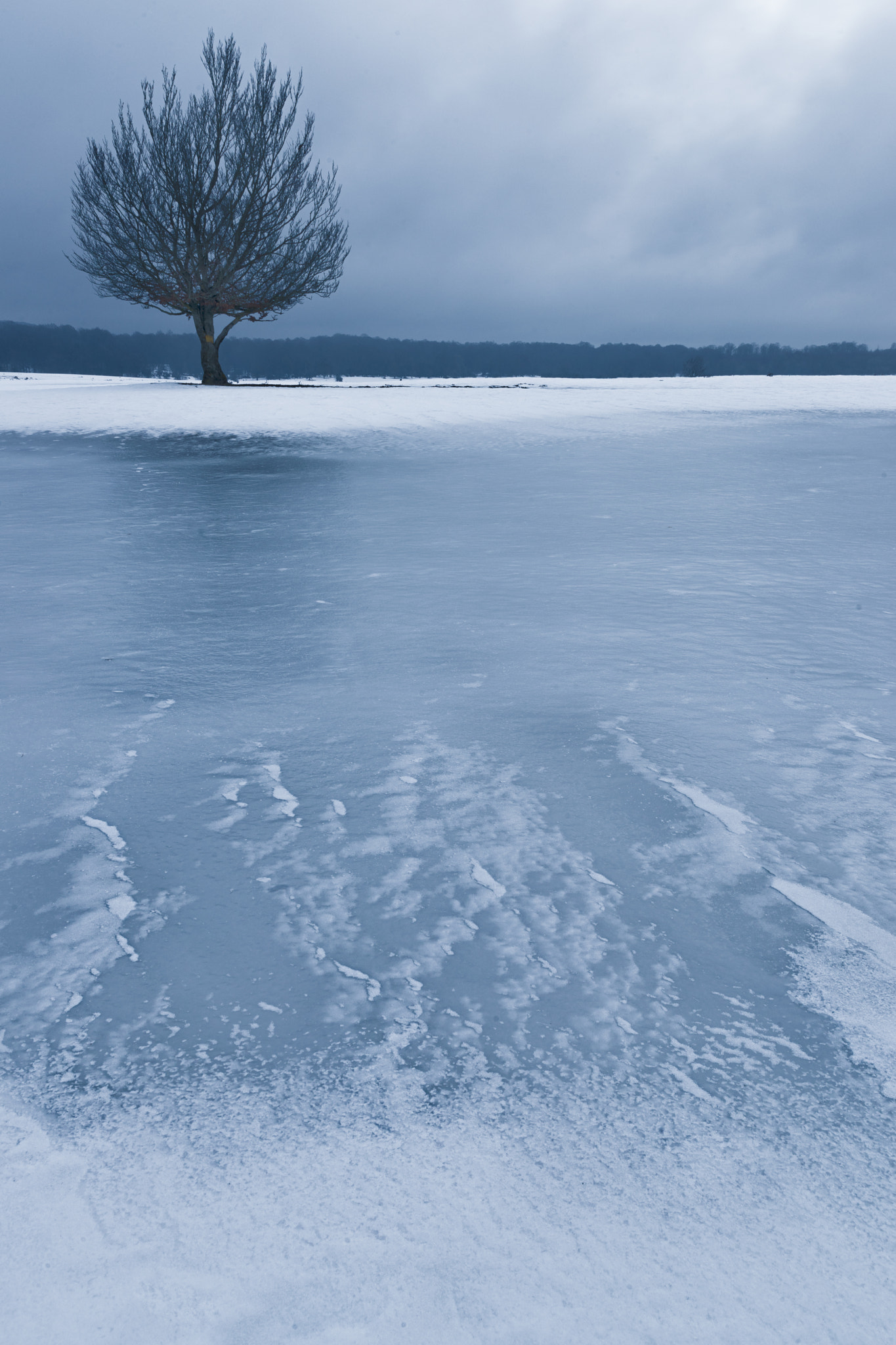 Sony a7 II + Tamron SP 24-70mm F2.8 Di VC USD sample photo. Helado - frozen photography