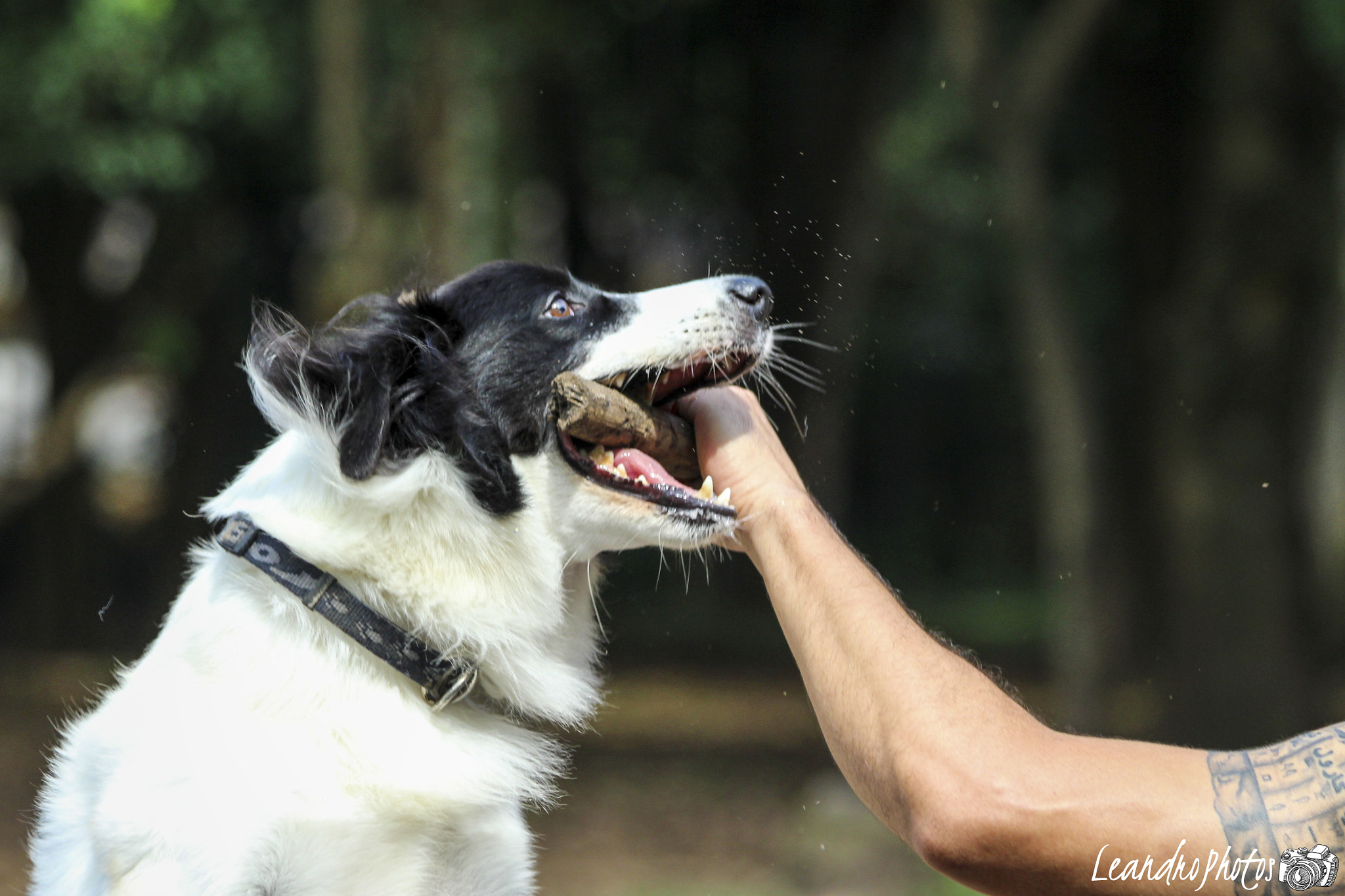 Canon EF 70-300mm F4-5.6 IS USM sample photo
