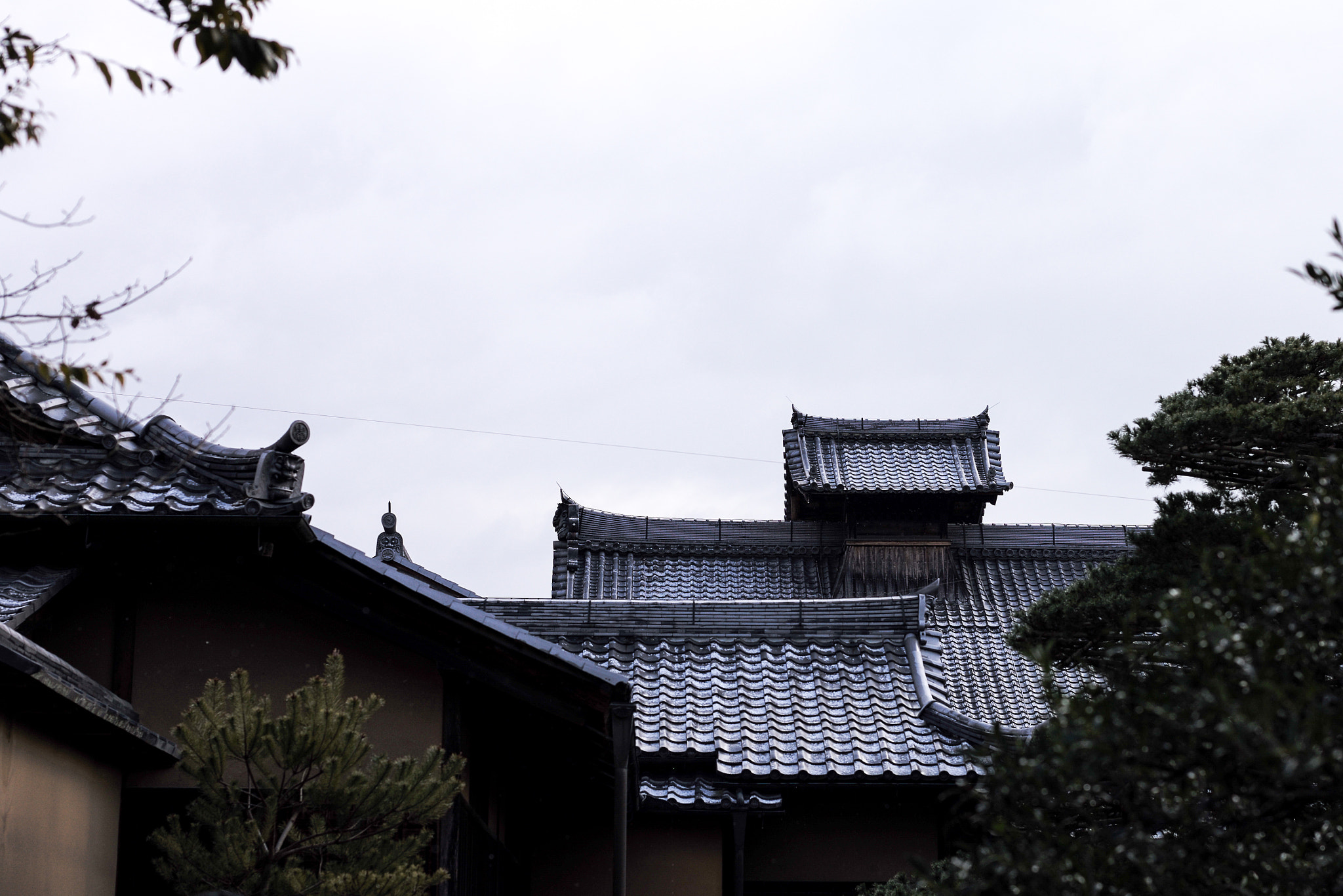 Leica APO-Summicron-M 50mm F2 ASPH sample photo. 2017 japan kyoto kinkaku-ji photography