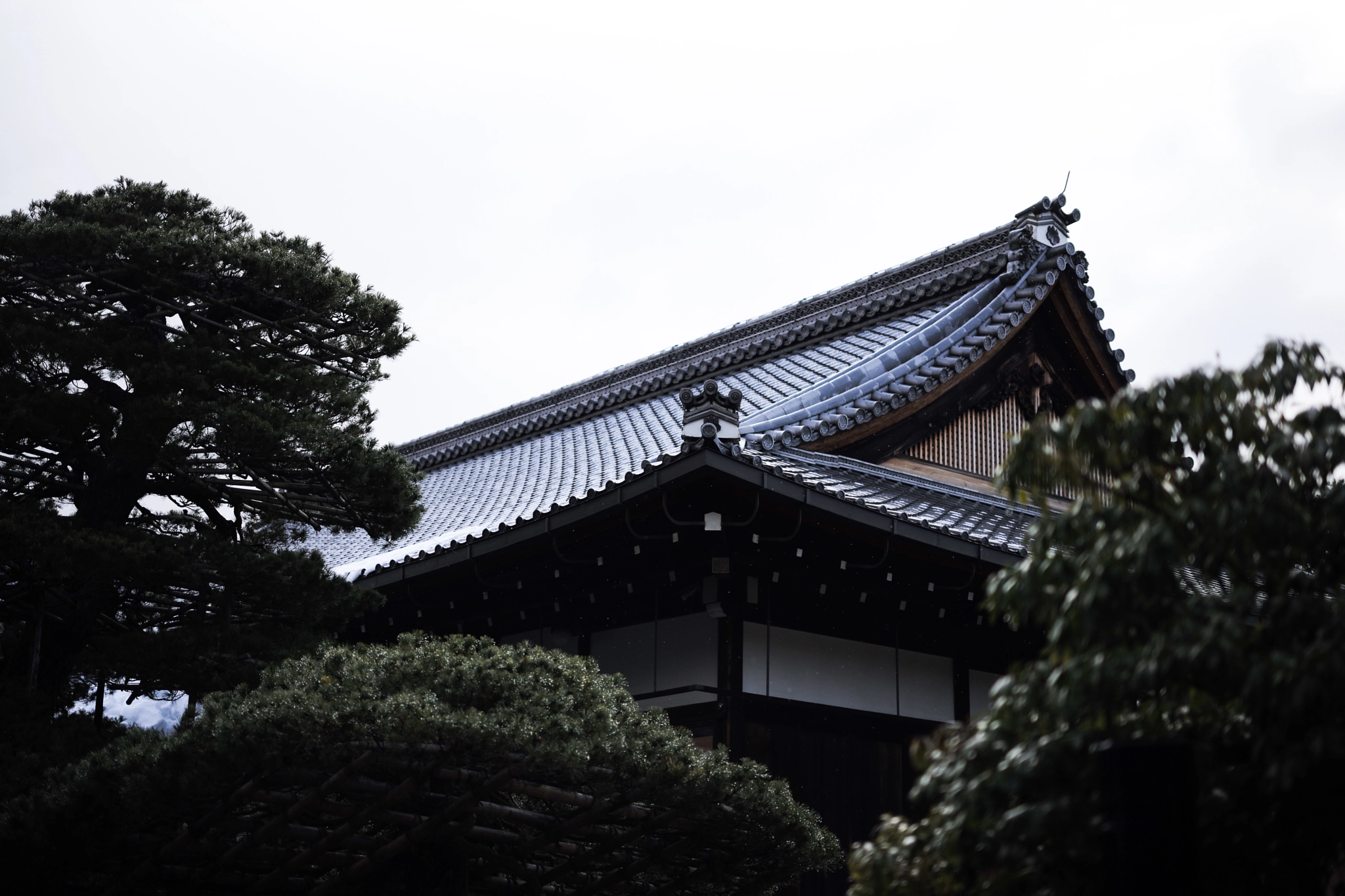 Leica APO-Summicron-M 50mm F2 ASPH sample photo. 2017 japan kyoto kinkaku-ji photography