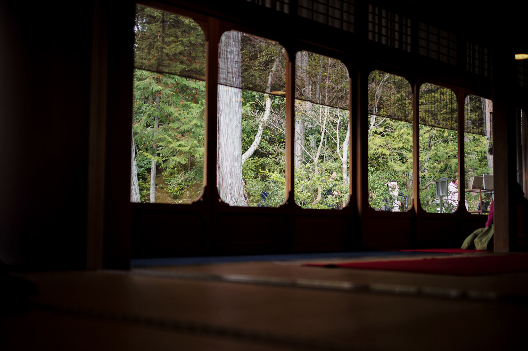 Leica APO-Summicron-M 50mm F2 ASPH sample photo. 2017 japan kyoto kinkaku-ji photography