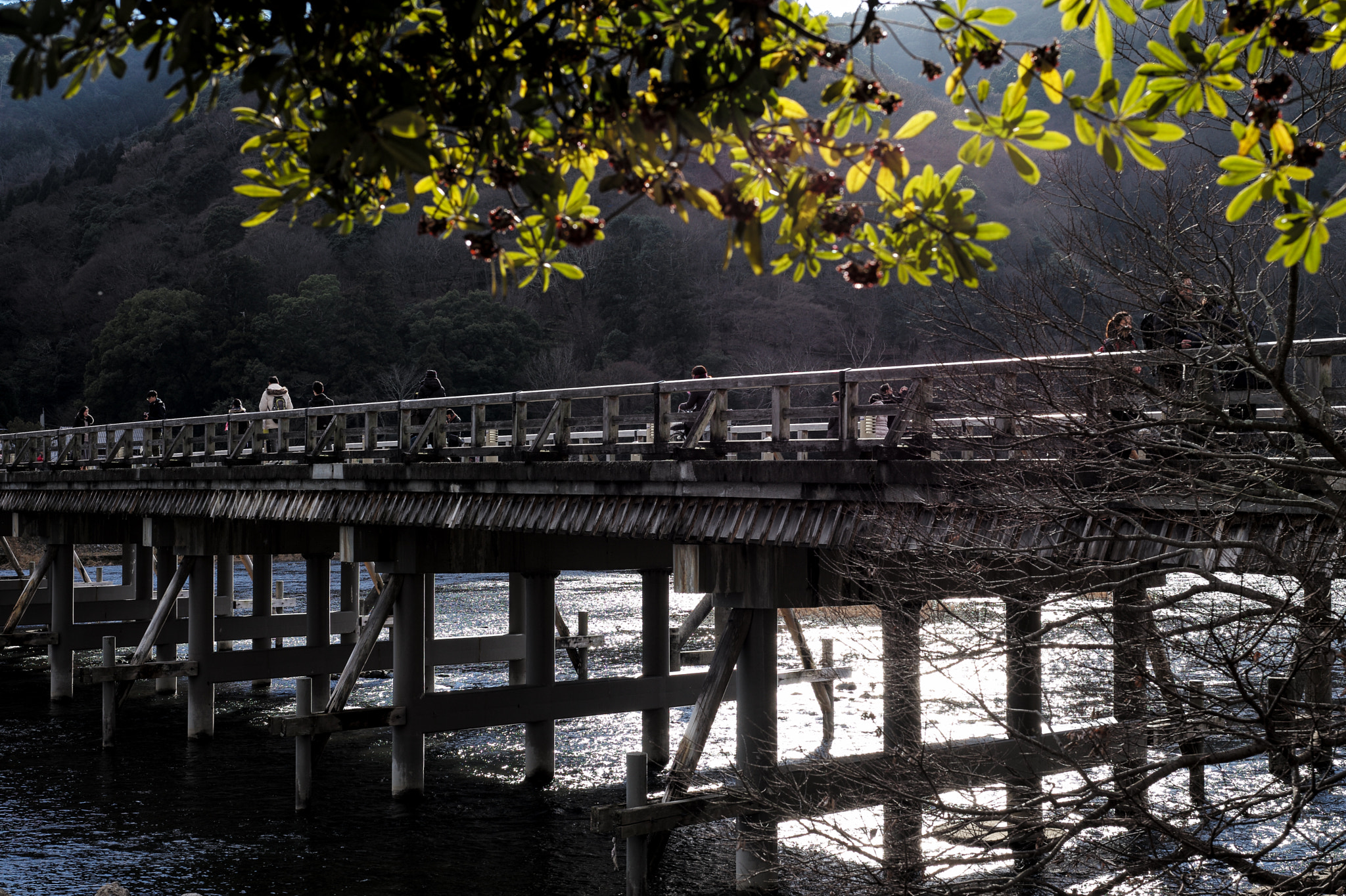 Leica APO-Summicron-M 50mm F2 ASPH sample photo. 2017 japan arshiyama photography
