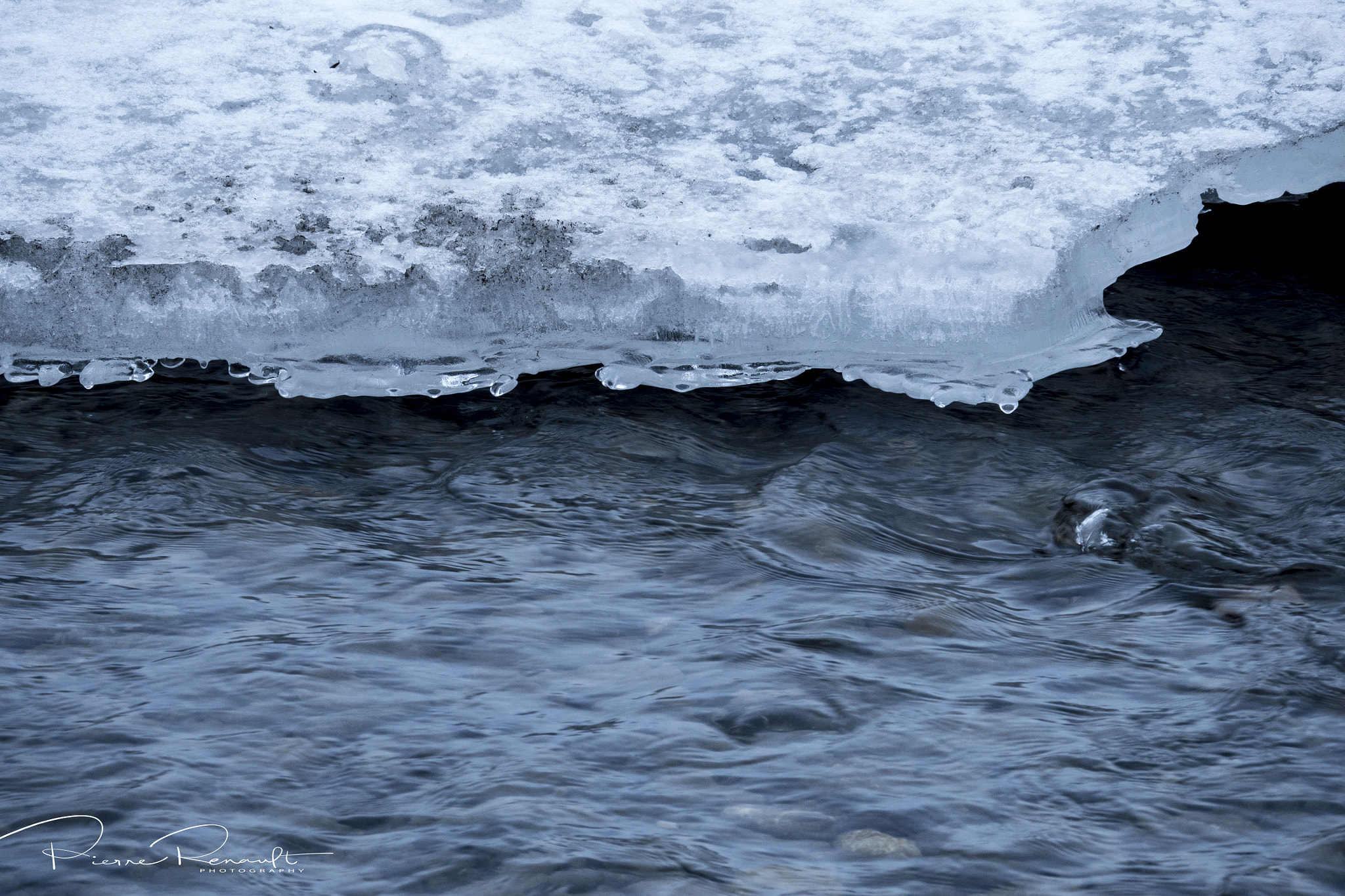 LEICA DG 100-400/F4.0-6.3 sample photo. Blue photography