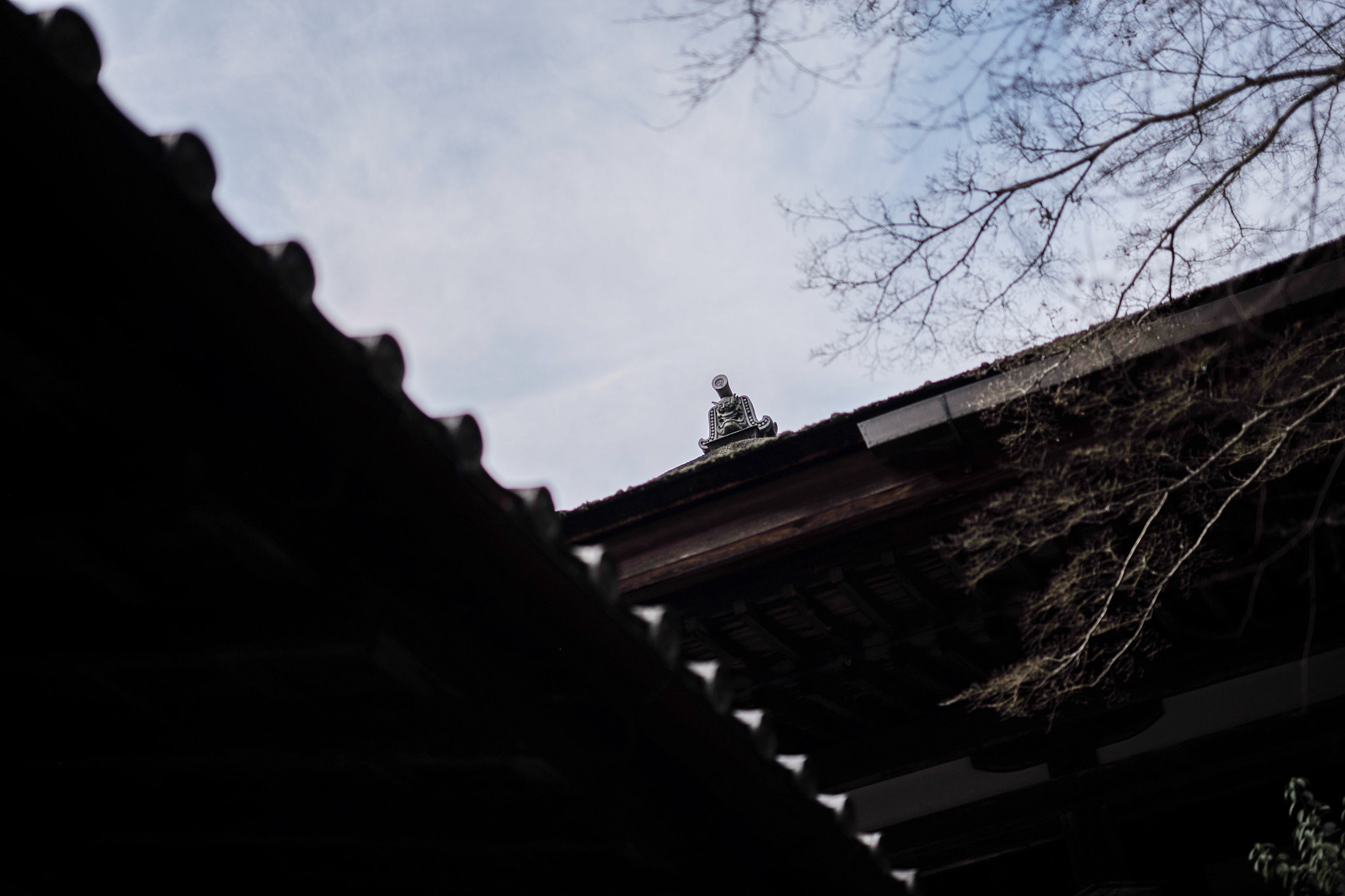 Leica APO-Summicron-M 50mm F2 ASPH sample photo. 2017 japan ishiyama-dera photography