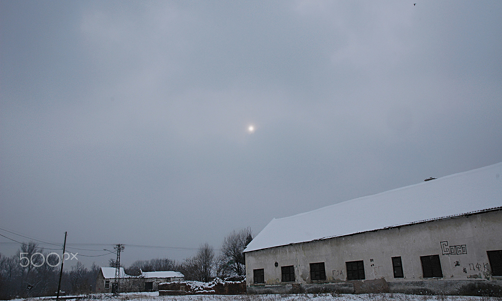 Nikon D70s sample photo. Snow day photography