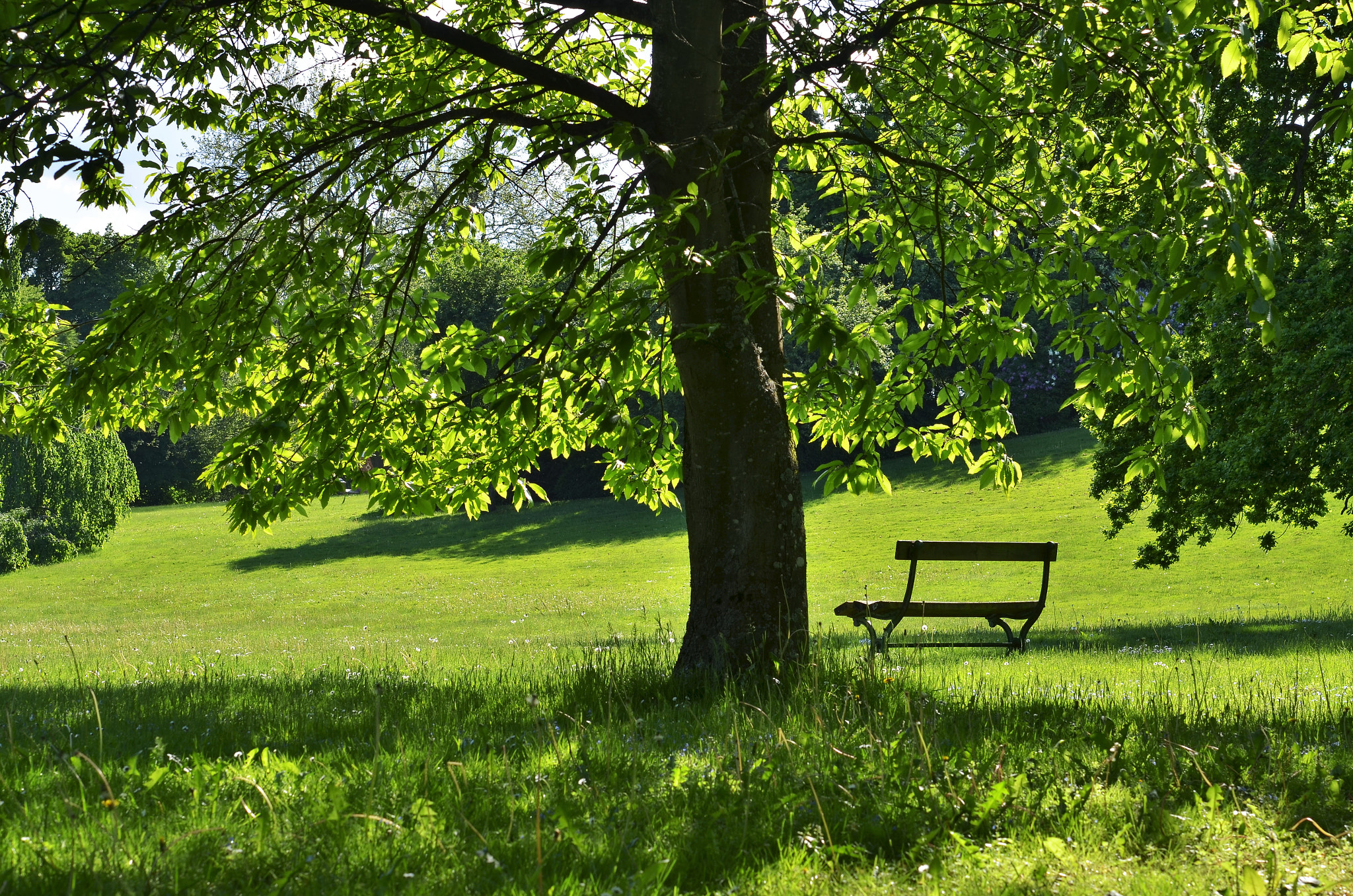 Nikon AF-S Micro-Nikkor 60mm F2.8G ED sample photo. "time to rest". photography