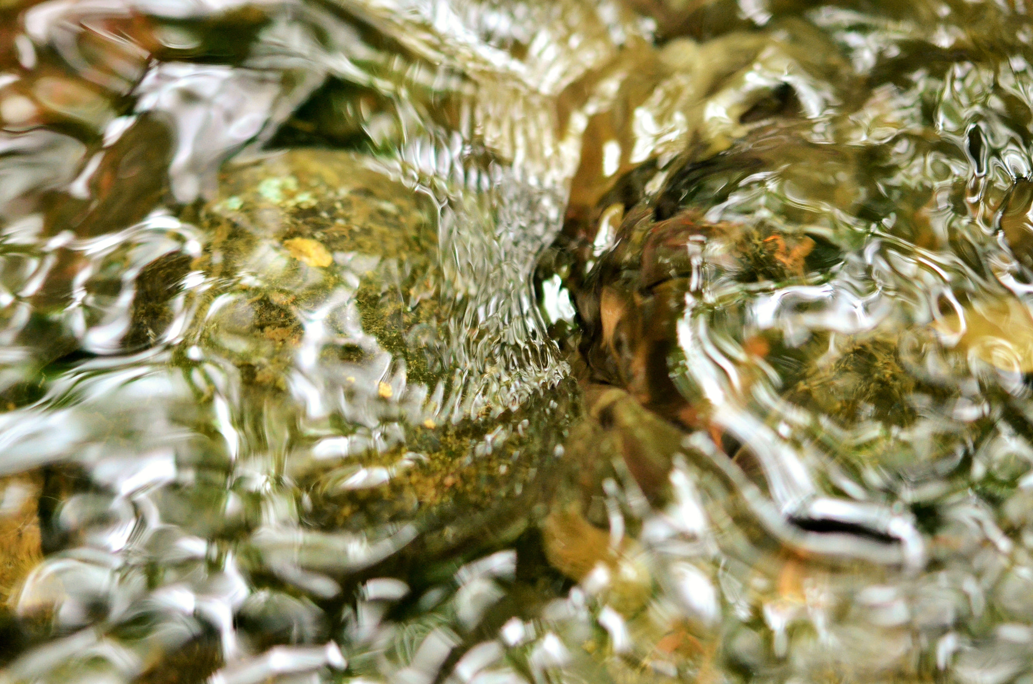 Nikon AF-S Micro-Nikkor 60mm F2.8G ED sample photo. A little stream in the forest. photography