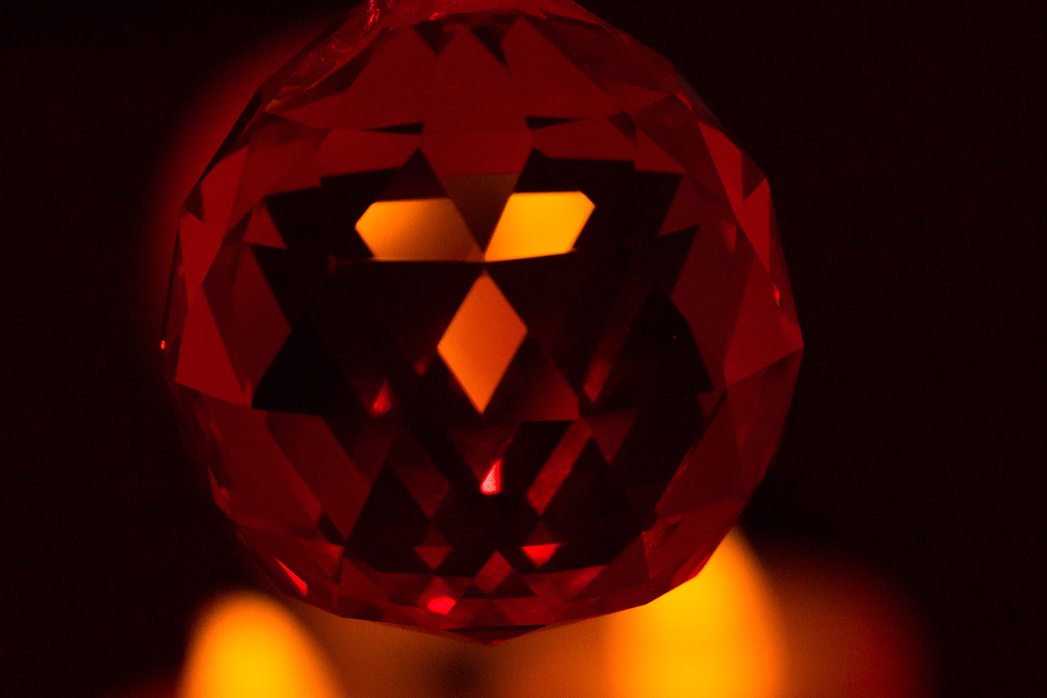 Canon EF 100mm F2.8L Macro IS USM sample photo. Red face photography