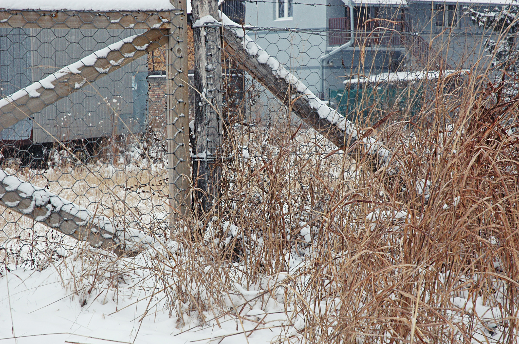 Nikon D70s sample photo. Fence in the little place photography