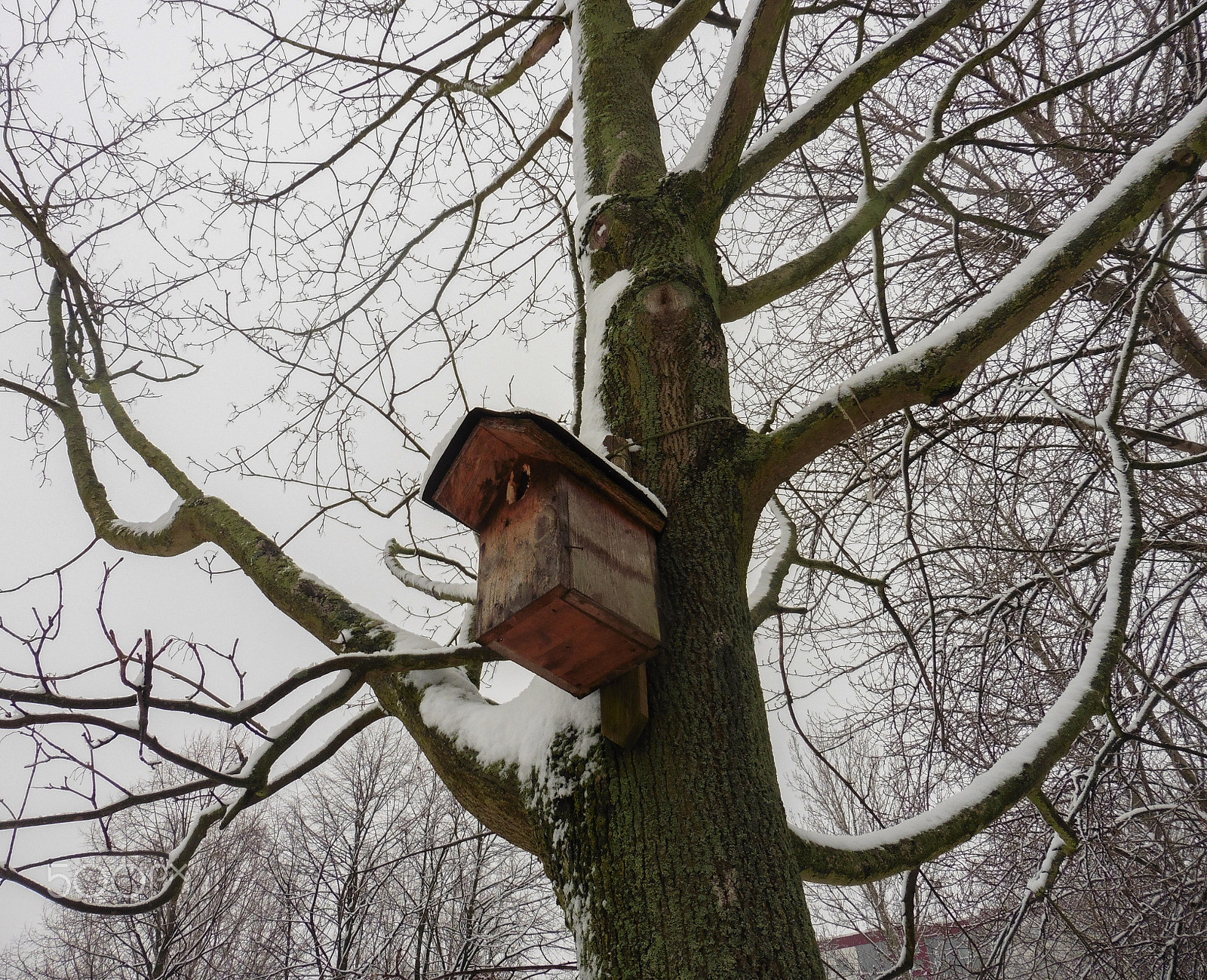 Panasonic DMC-TZ56 sample photo. Urban garden in winter's sleep photography