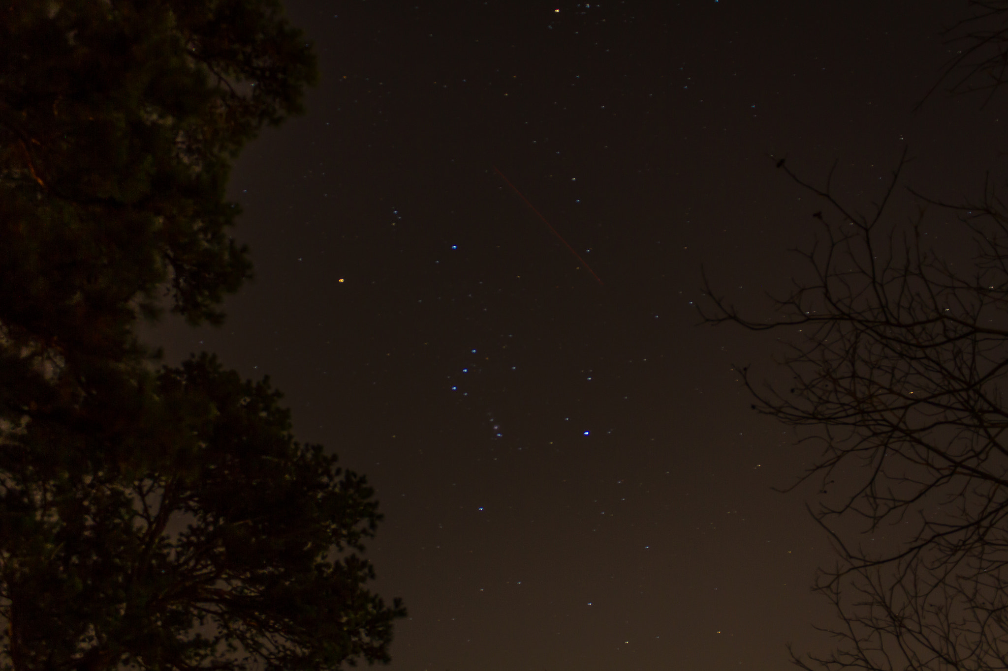 Canon EF-S 18-55mm F3.5-5.6 IS sample photo. Shooting star caught photography