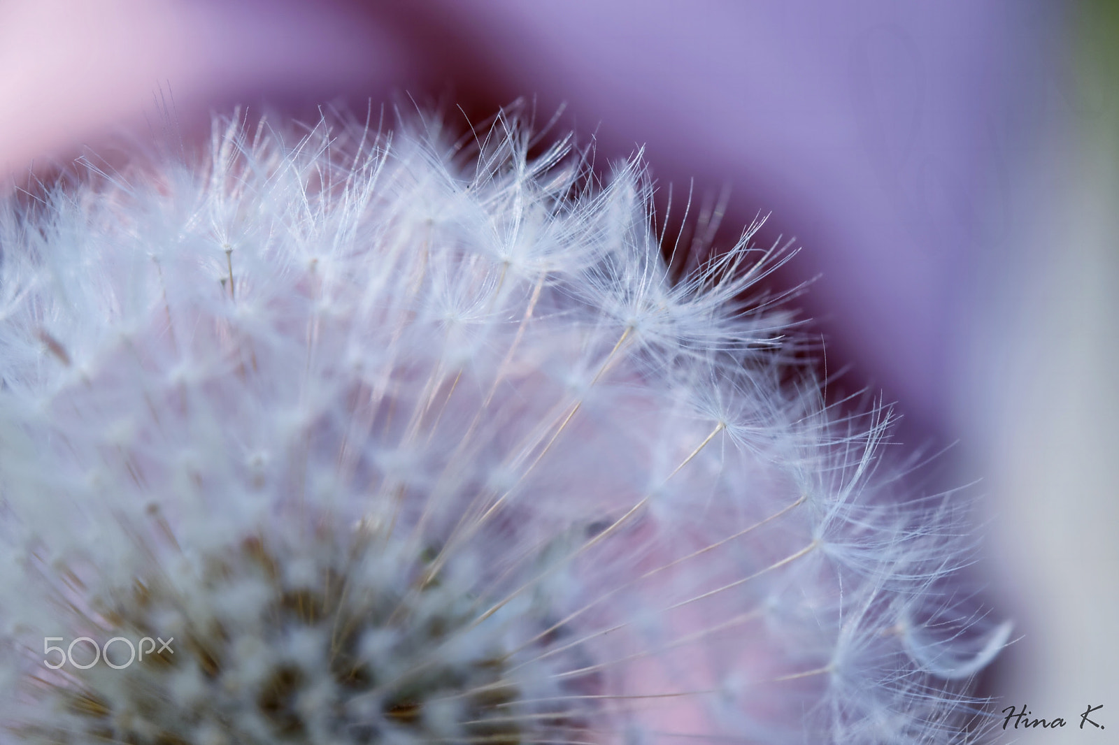Nikon AF-S Micro-Nikkor 60mm F2.8G ED sample photo. Be blown away photography