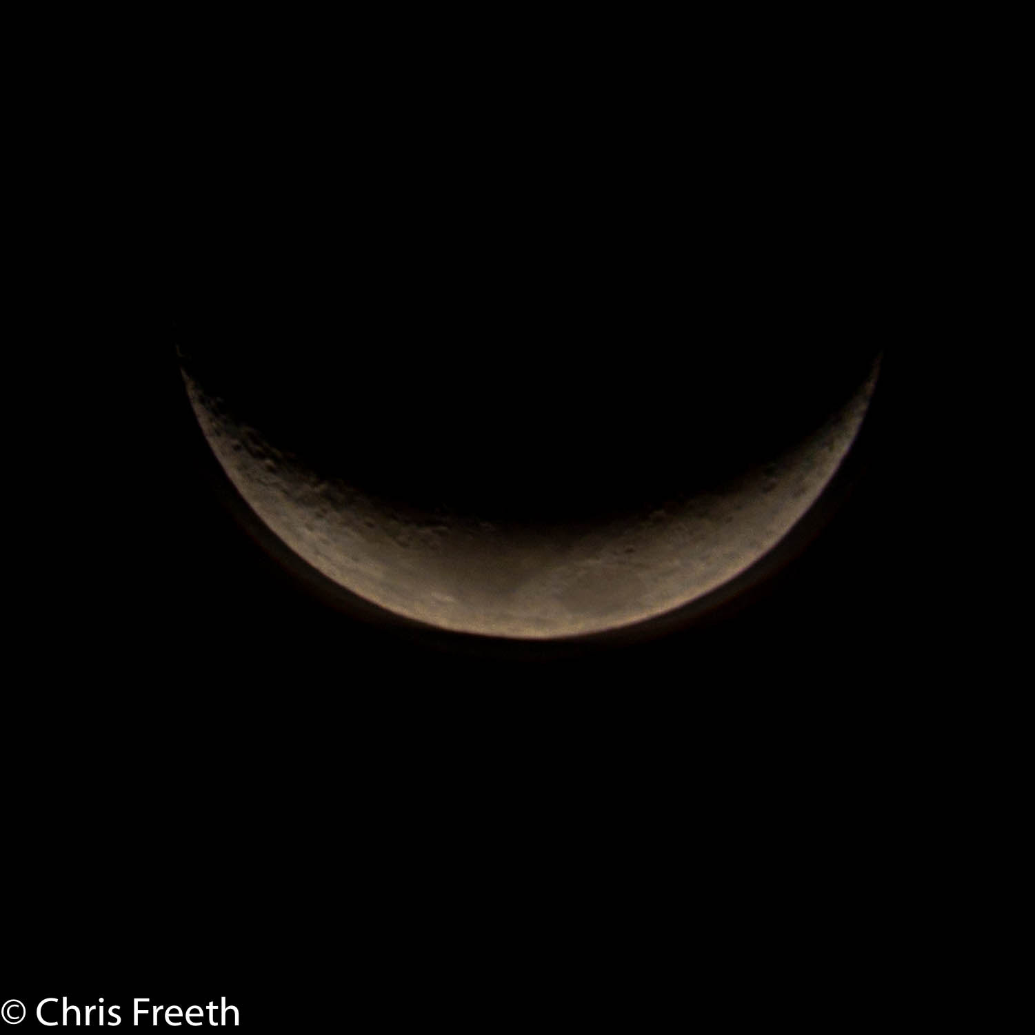 Sigma 150-500mm F5-6.3 DG OS HSM sample photo. Moonlight happy photography
