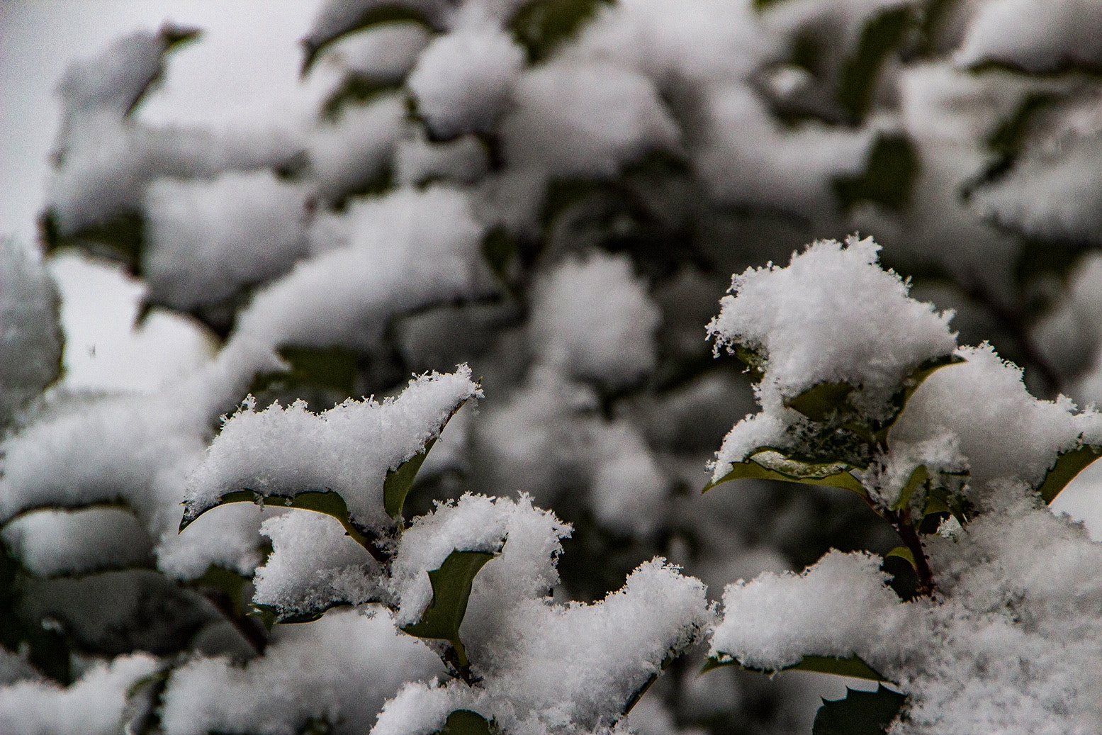 Canon EOS 600D (Rebel EOS T3i / EOS Kiss X5) sample photo. Fluffy snow on holy photography