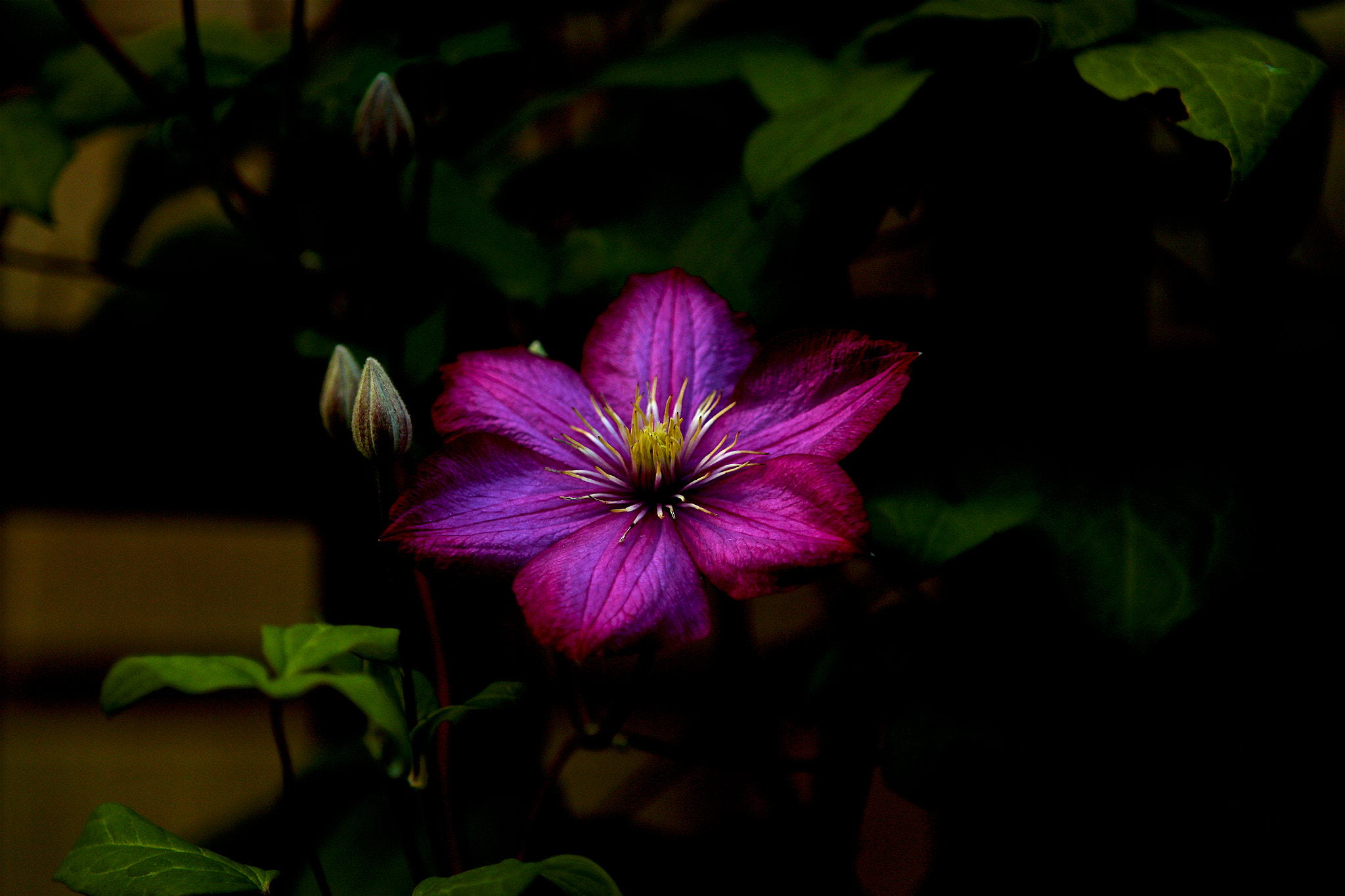 Canon EF 70-200mm F2.8L IS USM sample photo. At photography