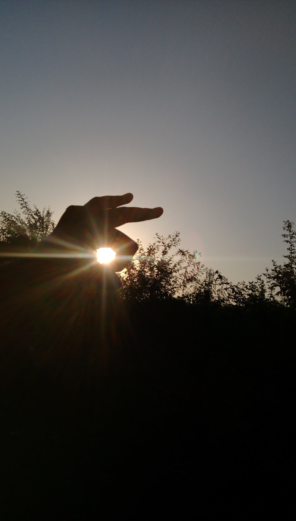 HTC DESIRE 828 DUAL SIM sample photo. Sun rays photography
