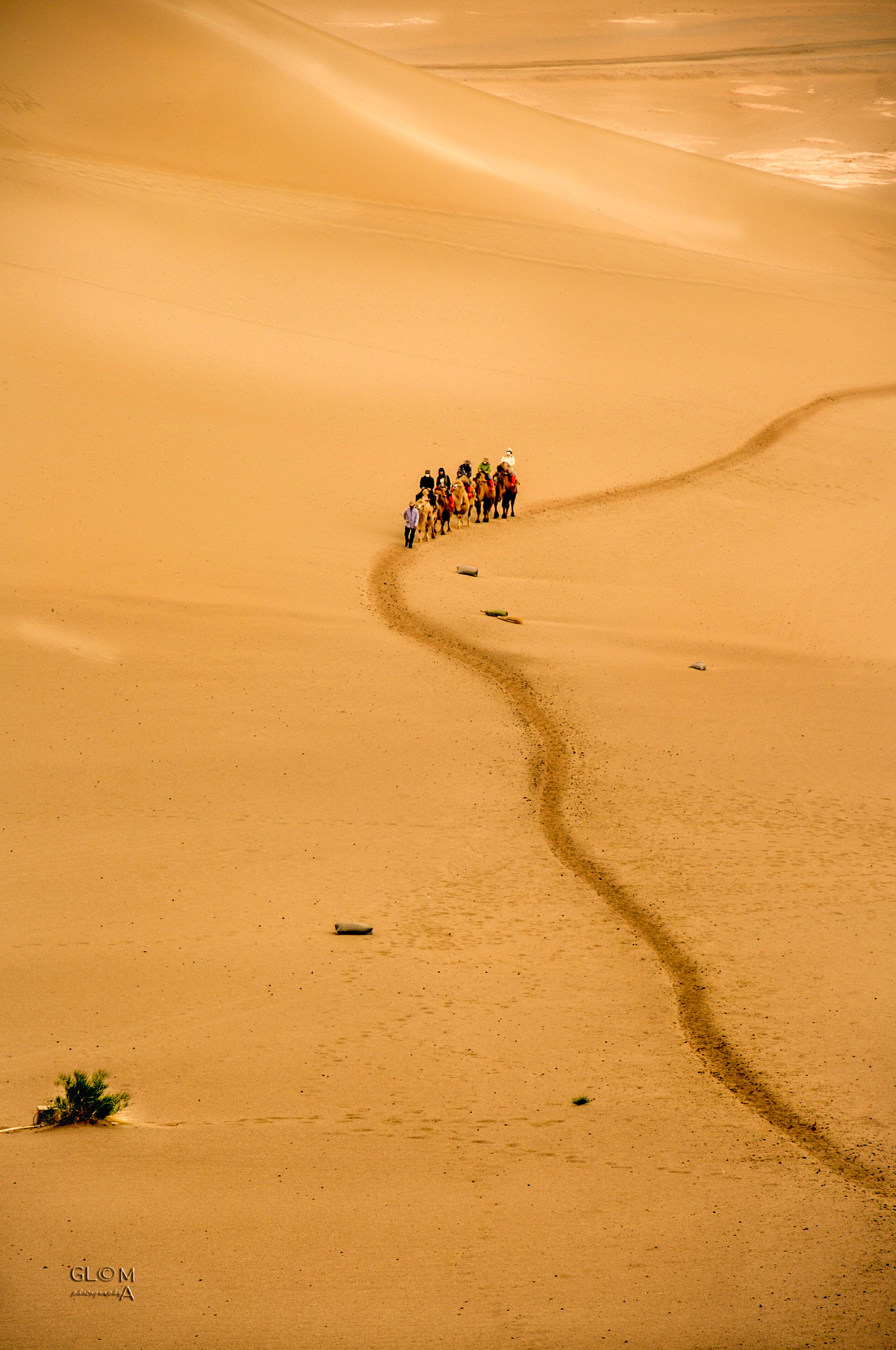 Nikon D90 + Tamron AF 18-270mm F3.5-6.3 Di II VC LD Aspherical (IF) MACRO sample photo. Modern camel caravan crossing through the sand dunes in the gobi desert, dunhuang, china. 2012. photography