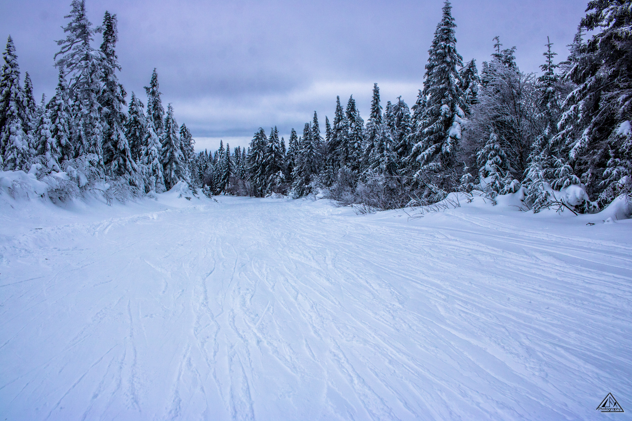 Canon EF-S 24mm F2.8 STM sample photo. Winter trails photography
