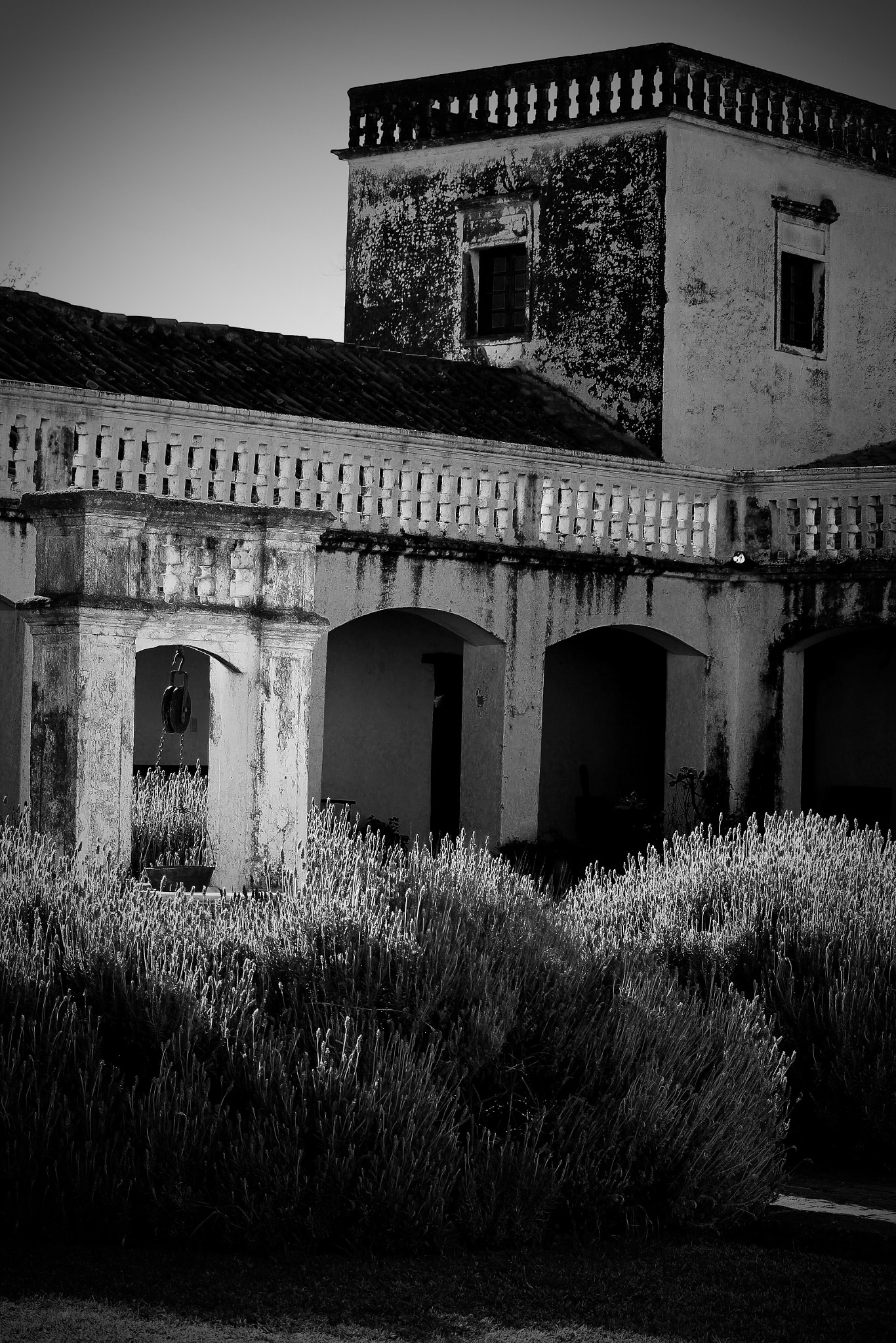 Canon EF-S 55-250mm F4-5.6 IS STM sample photo. Estancia jesuítica en córdoba photography