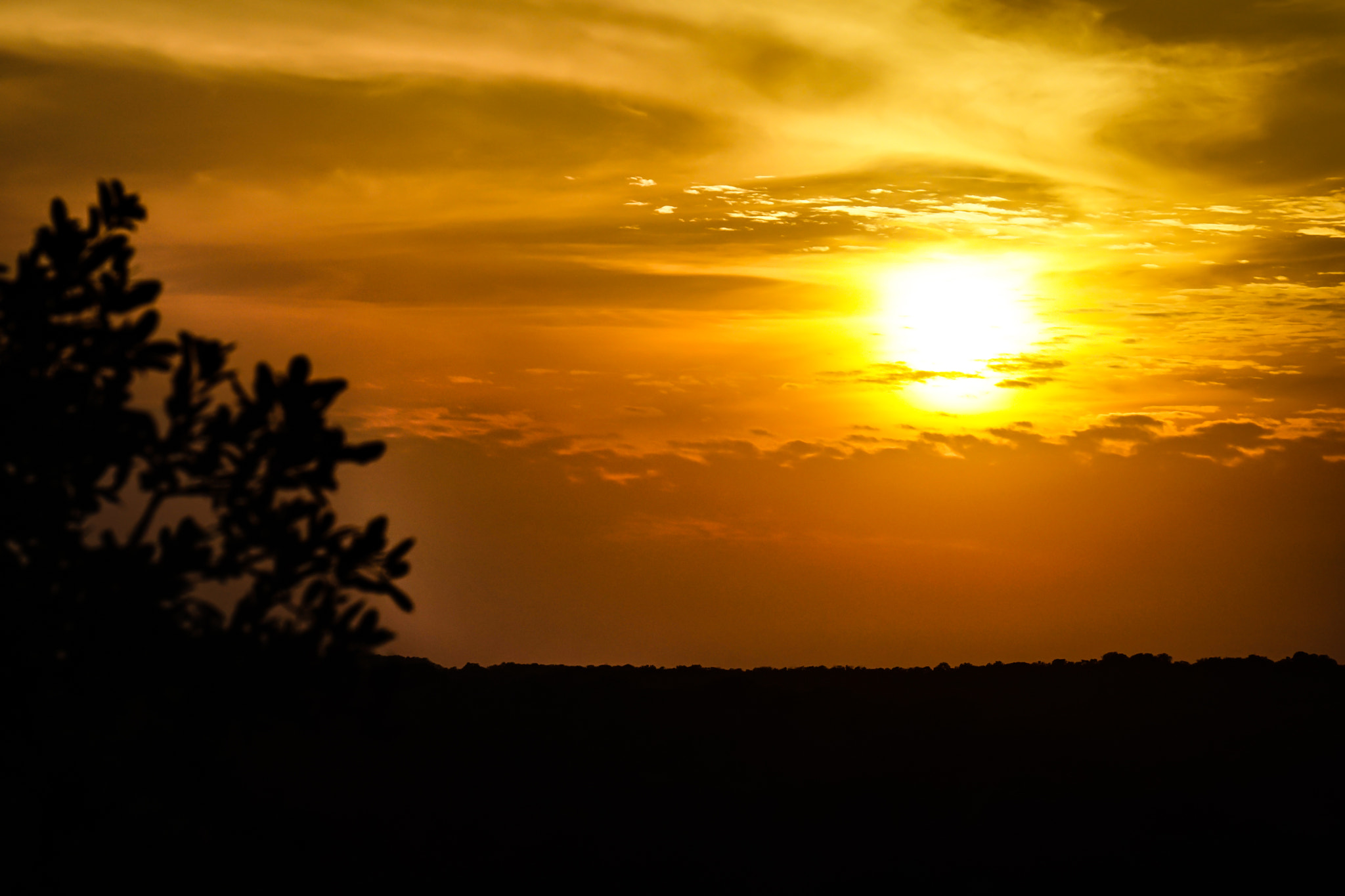 Sony E 55-210mm F4.5-6.3 OSS sample photo. Hill country photography