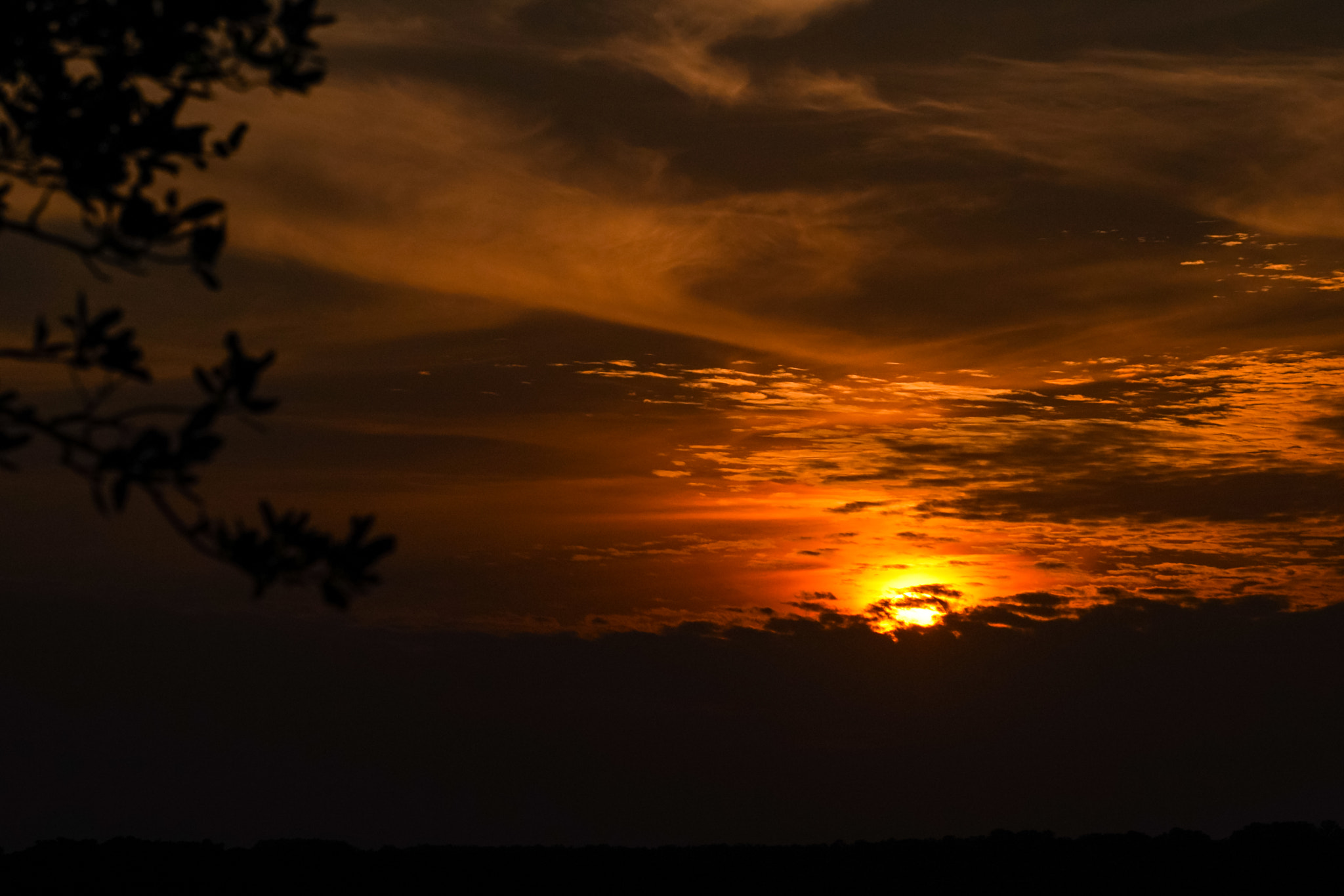 Sony E 55-210mm F4.5-6.3 OSS sample photo. Hill country photography