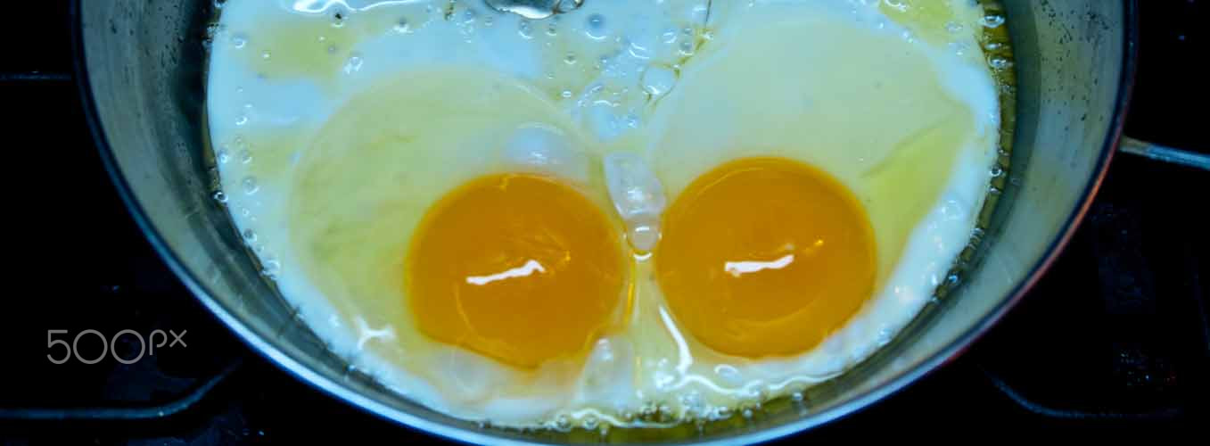 Nikon D300S sample photo. Eggs fried photography