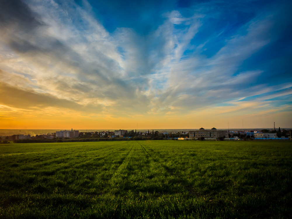 Canon EF-S 18-55mm F3.5-5.6 II sample photo. Beauty photography