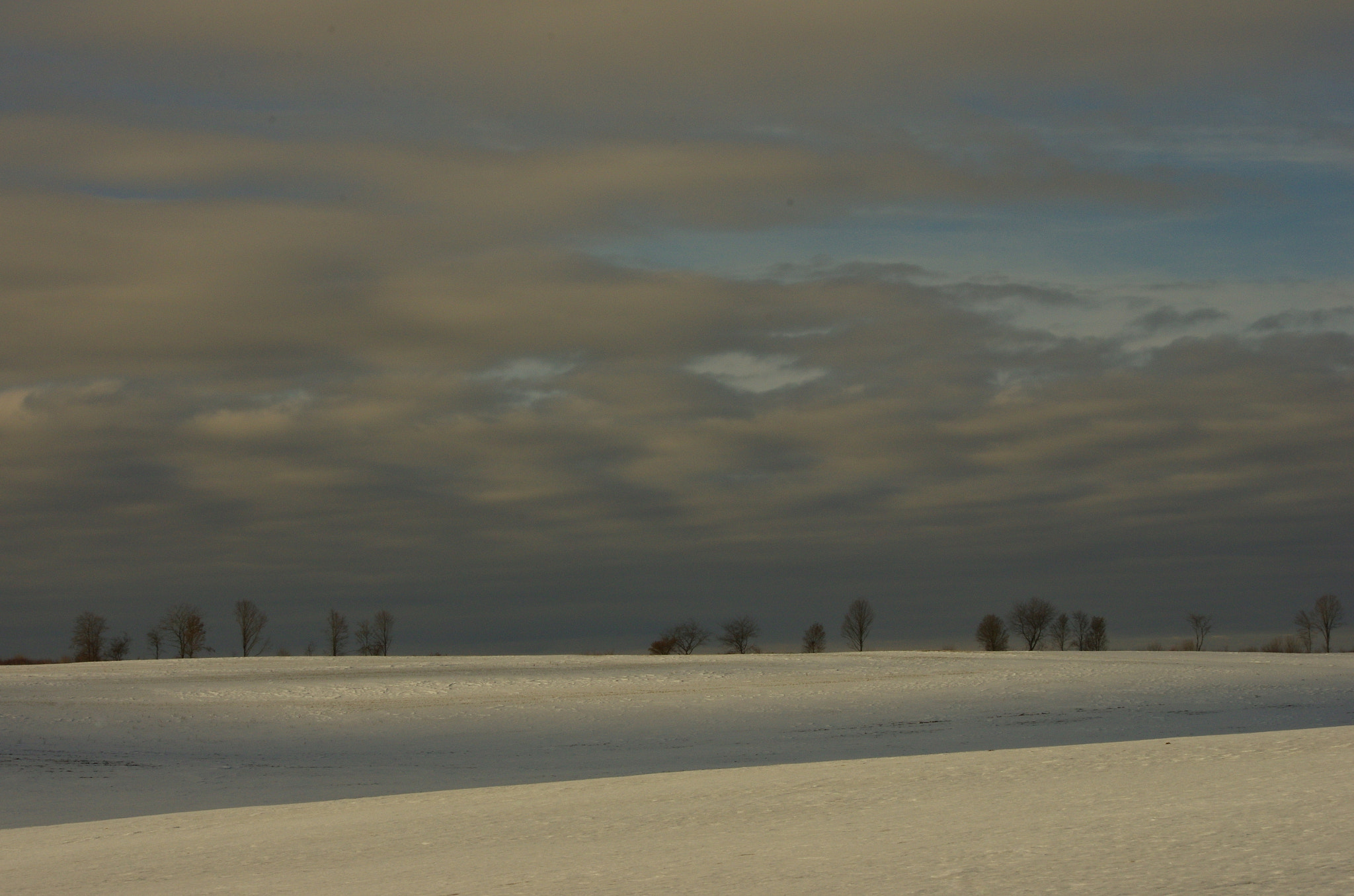 HD Pentax DA 55-300mm F4.0-5.8 ED WR sample photo. Game of light and shadow photography