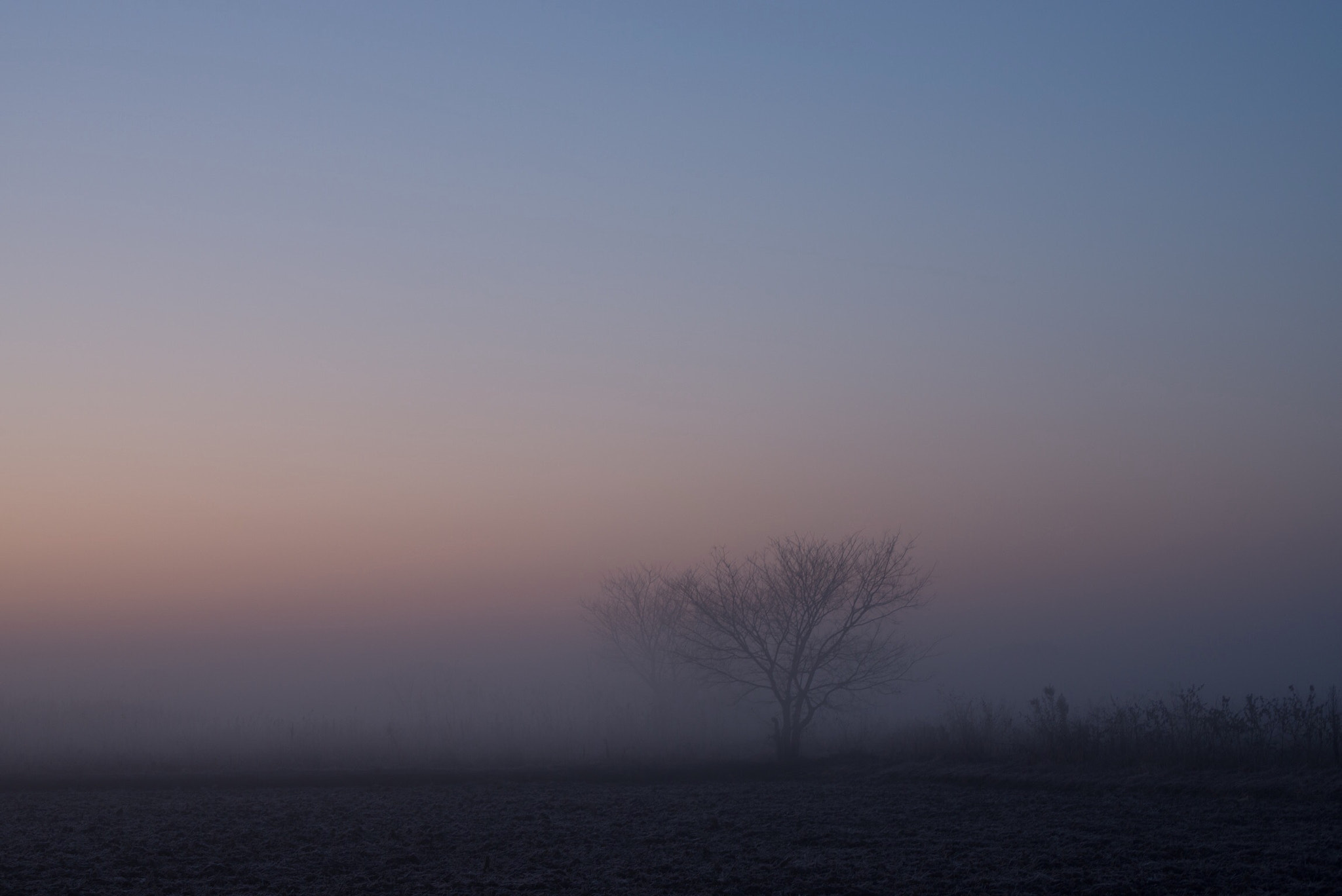 Nikon D800 sample photo. Winter morning photography