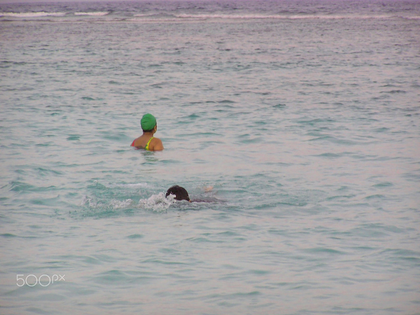 Olympus C750UZ sample photo. Enjoying the water in the coral reef lagoon photography