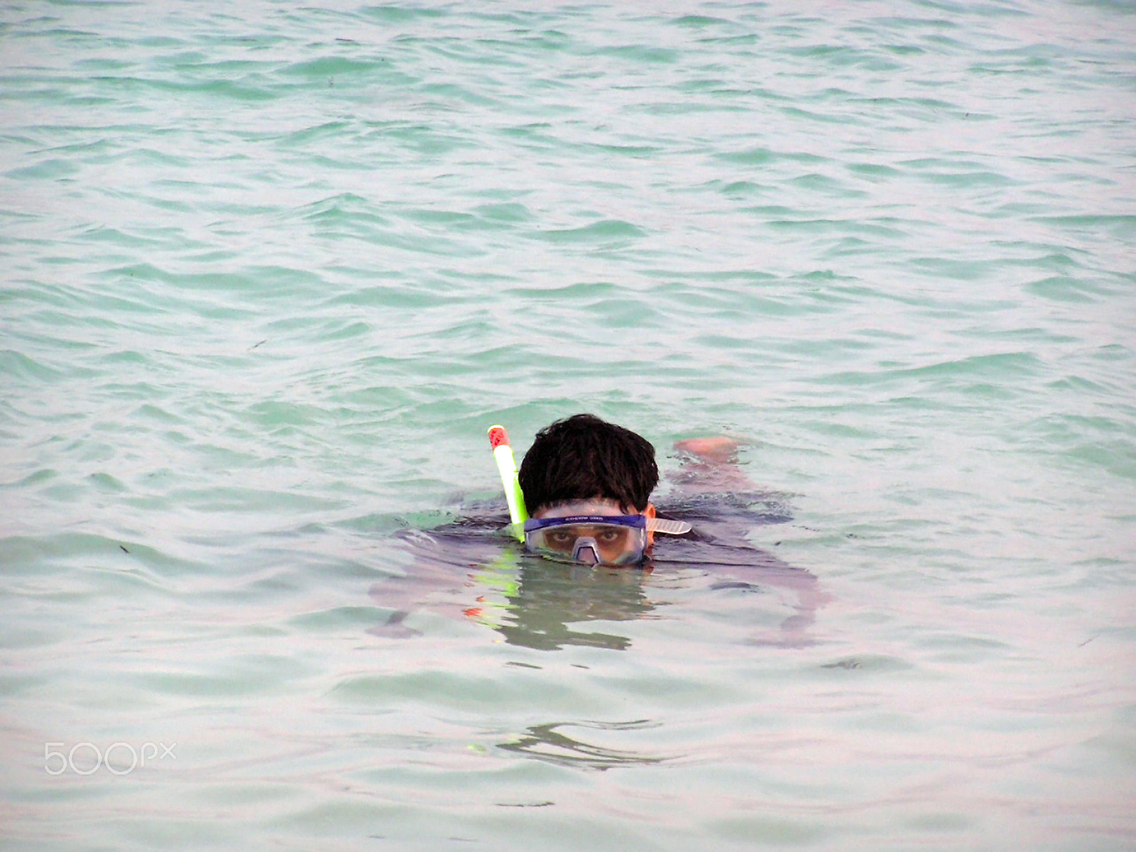 Olympus C750UZ sample photo. Snorkelling in the lagoon inside the coral reef photography