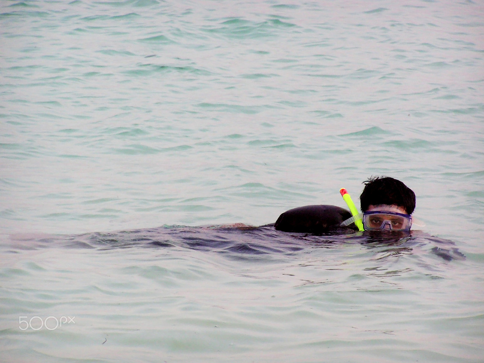 Olympus C750UZ sample photo. Snorkelling sideways in the lagoon inside the coral reef in the photography