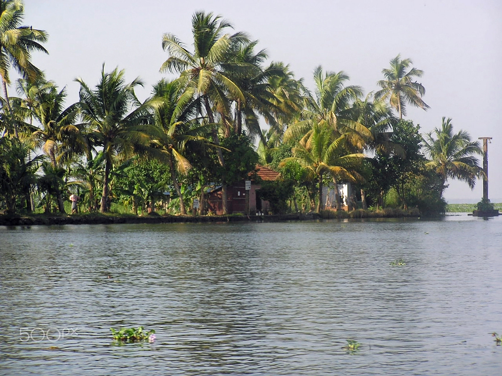 Olympus C750UZ sample photo. Cottage in the midst of greenery and on the edge of a saltwater photography
