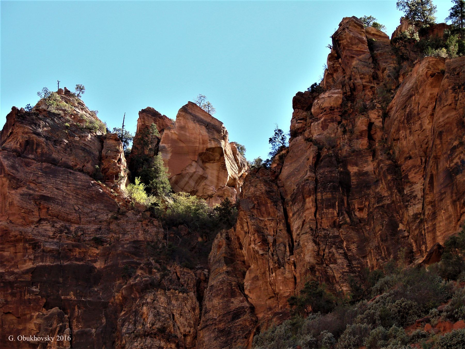Sony DSC-H5 sample photo. Zion national park #6 (uta) photography
