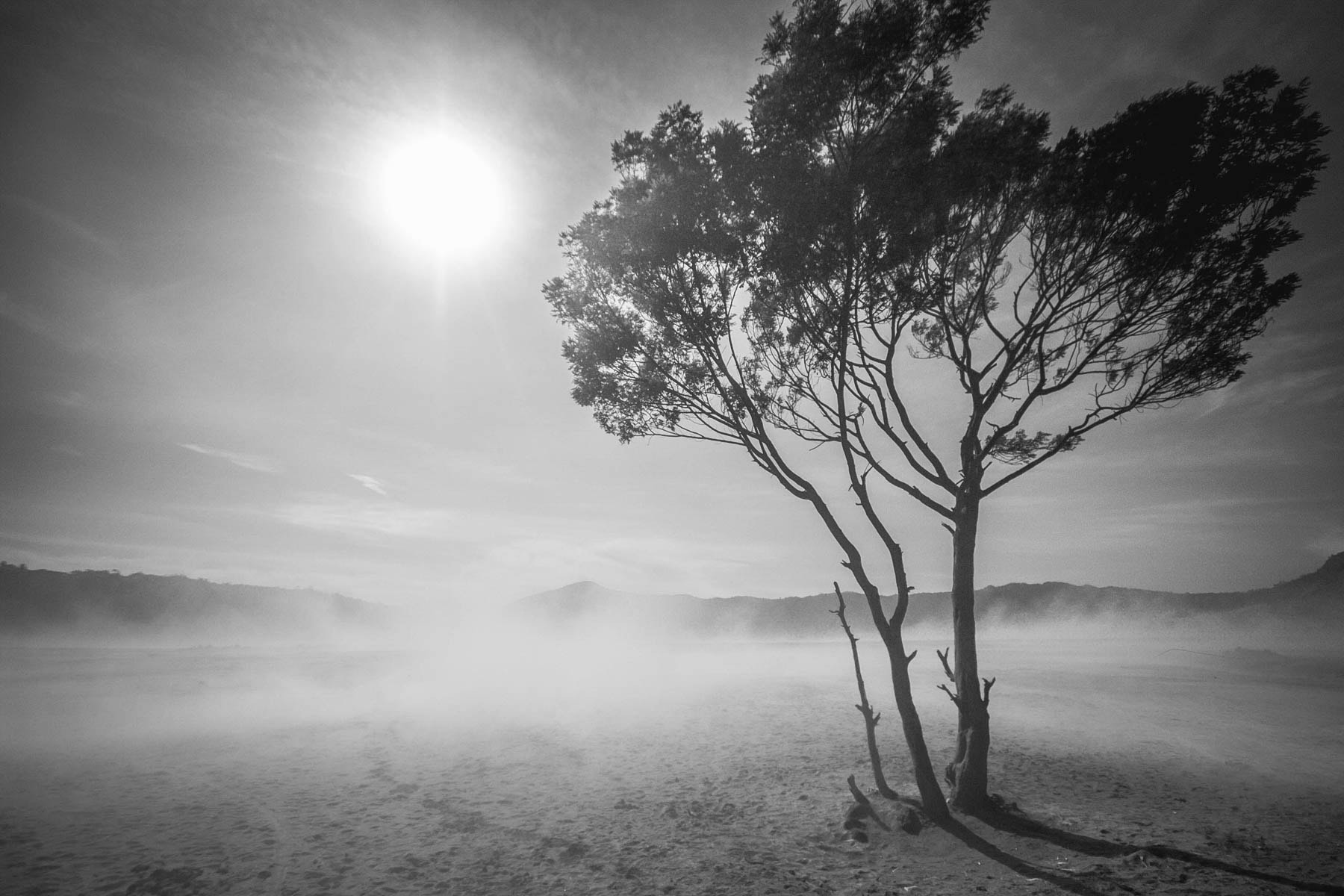 Sigma 10-20mm F4-5.6 EX DC HSM sample photo. Son of the sun photography