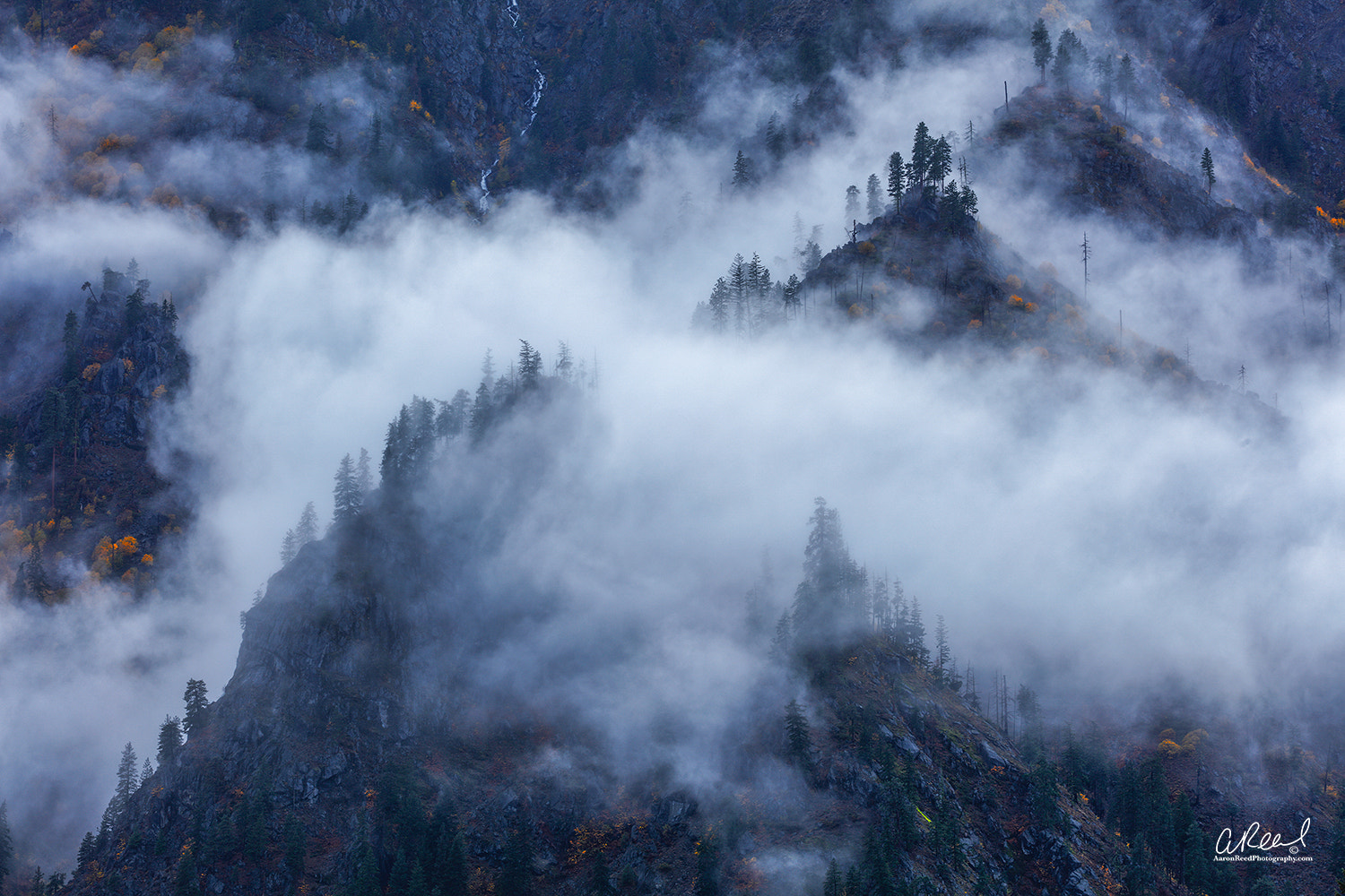 Canon EOS 5DS R + Canon EF 70-200mm F4L USM sample photo. Whisp photography