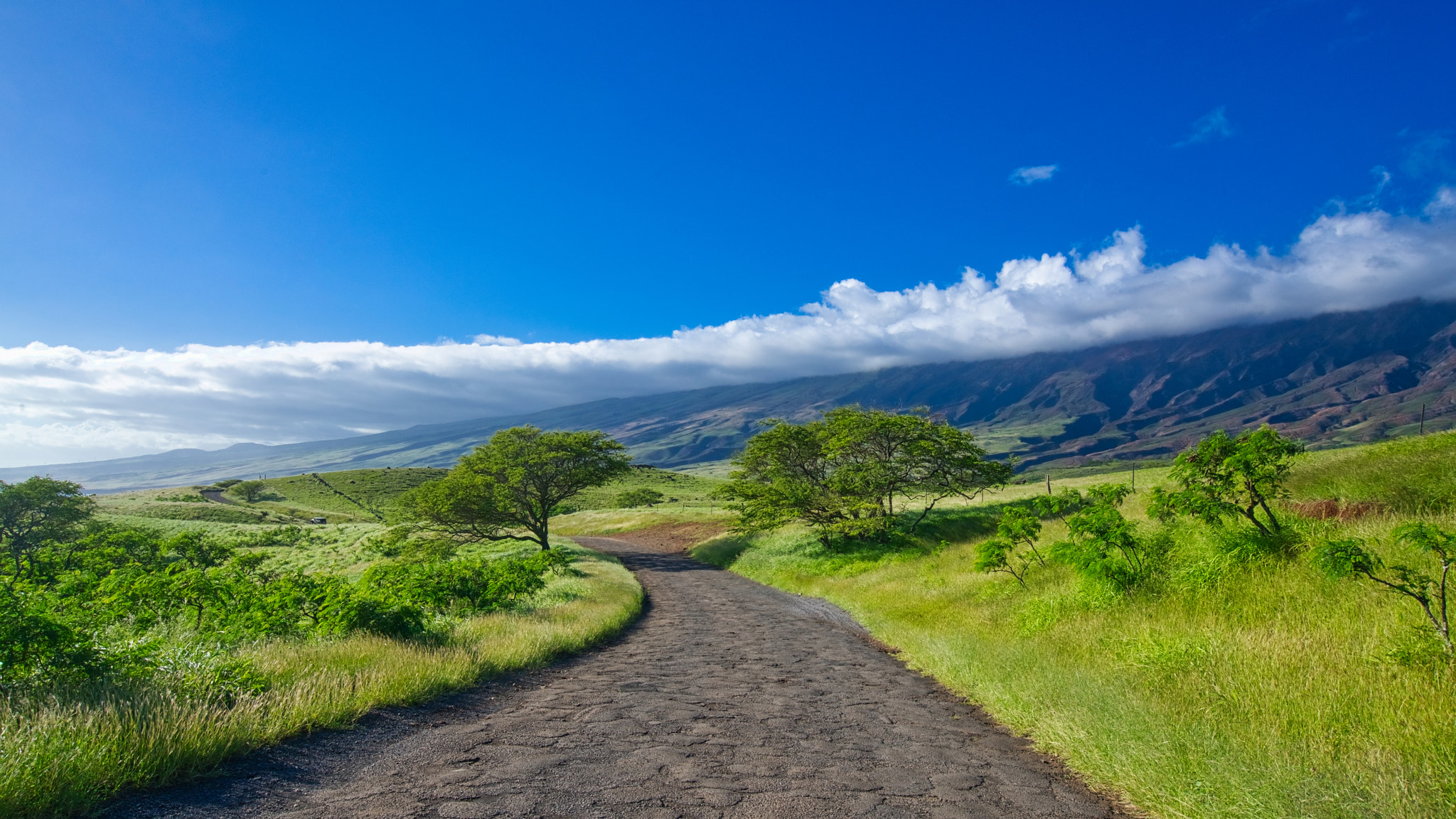 Sony a7R II + Sony Vario-Tessar T* FE 16-35mm F4 ZA OSS sample photo. Piilani highway in maui photography