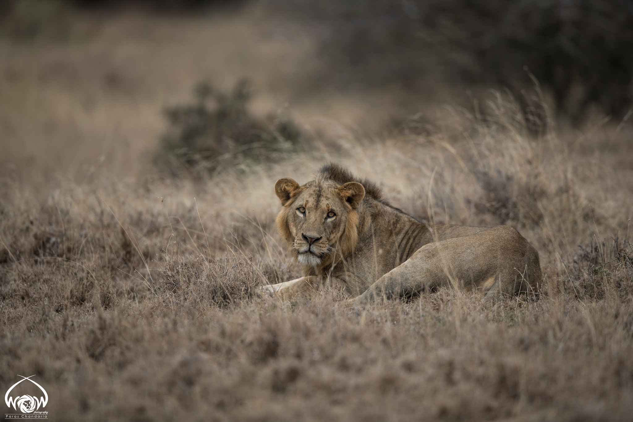 Canon EF 400mm F2.8L IS II USM sample photo. #01feb2017 #naturewildlife365 #project365 photography