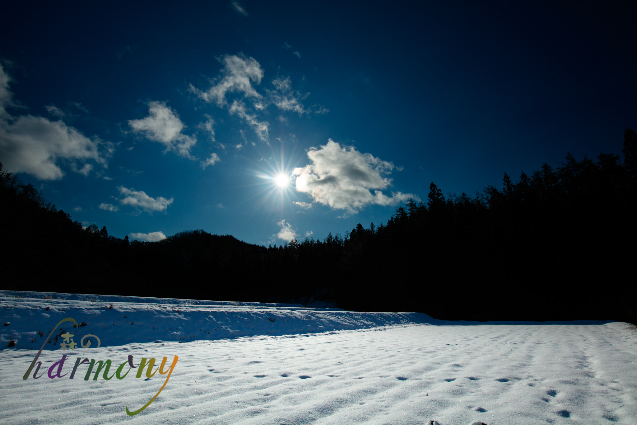 Canon EOS 5DS + Canon EF 16-35mm F4L IS USM sample photo. Fine day of the winter photography