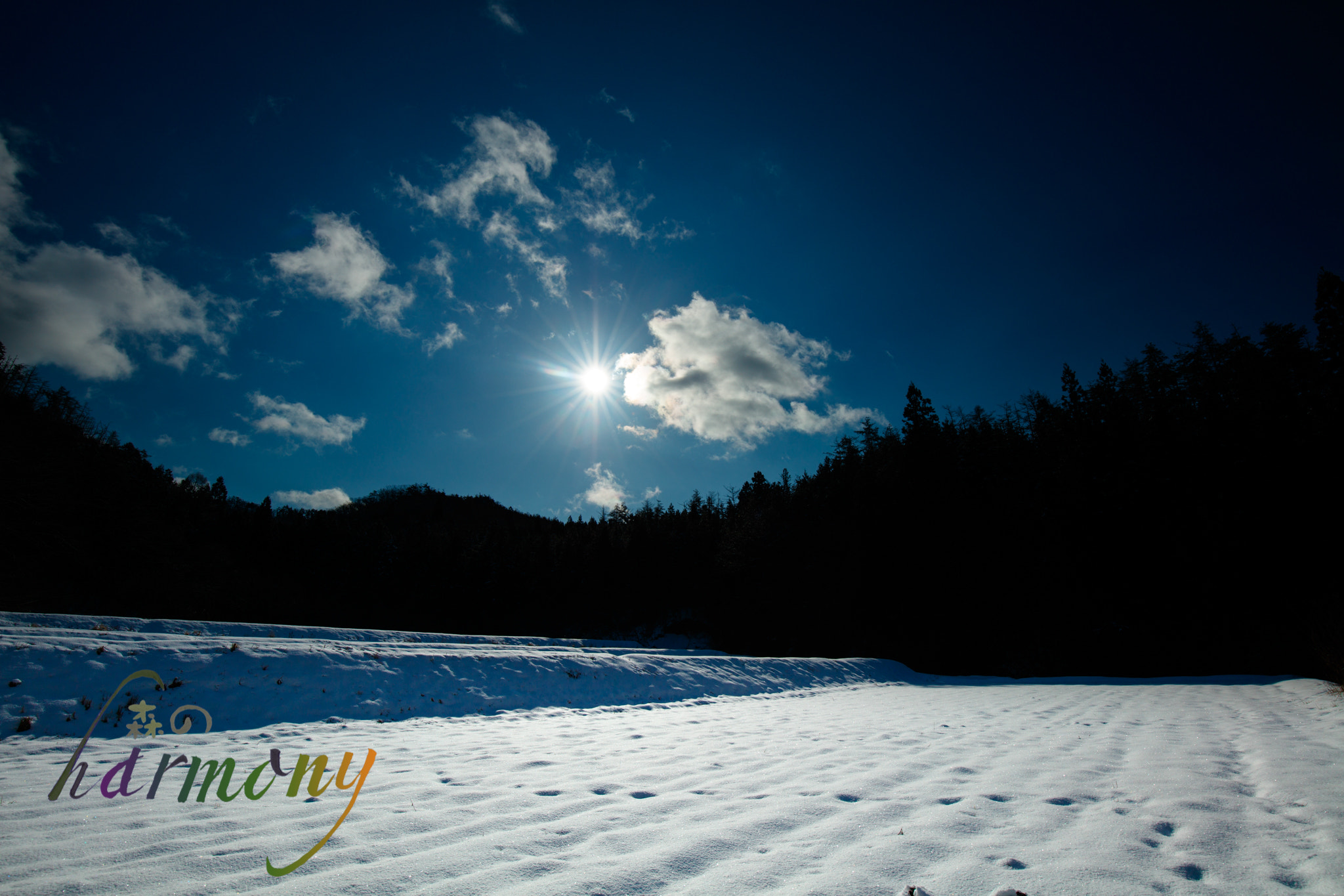 Canon EF 16-35mm F4L IS USM sample photo. Fine day of the winter photography