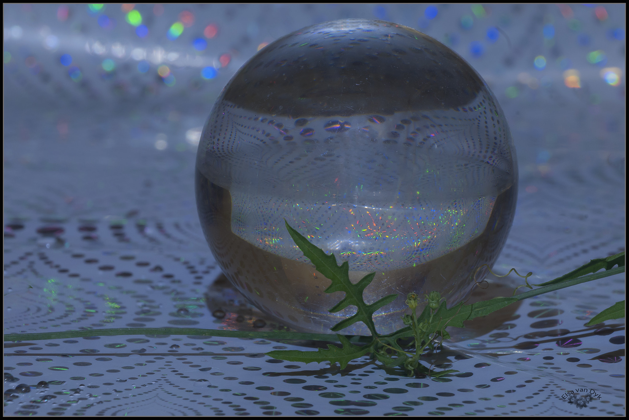Nikon D300 sample photo. Glass ball photography