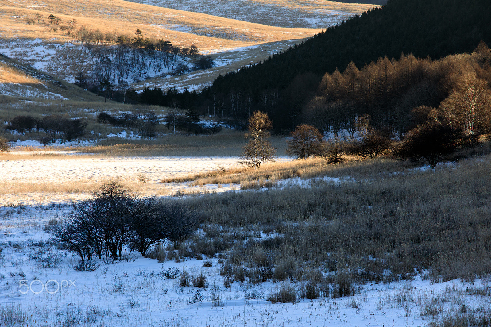 Canon EF 70-200mm F4L IS USM sample photo. Marsh and hill photography