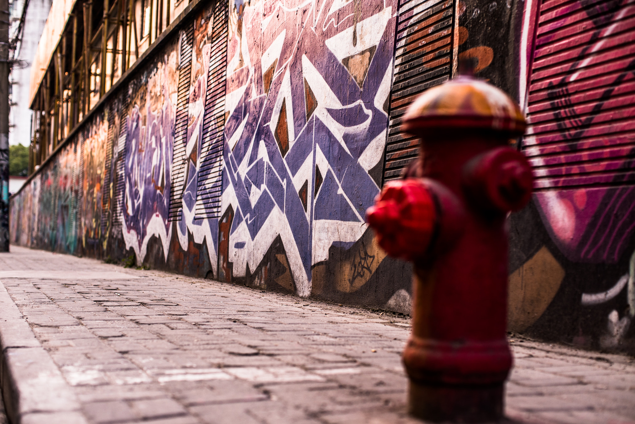 Sony a7S + Canon EF 50mm F1.2L USM sample photo. Street art photography