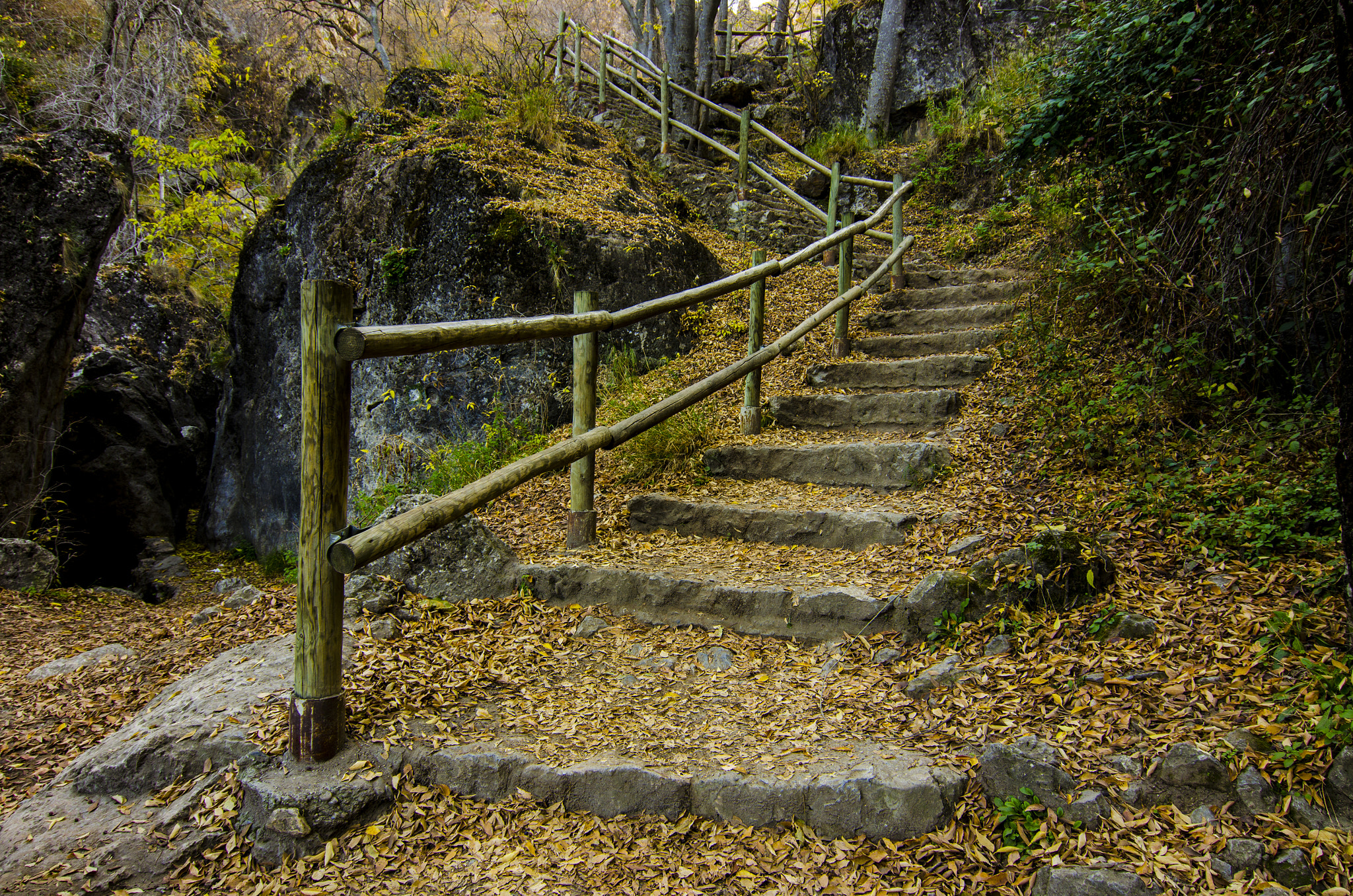 Nikon D5100 + Tokina AT-X 12-28mm F4 Pro DX sample photo. Stairs in autumn photography