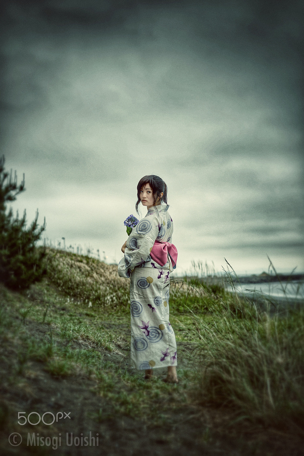 Sony a7S + Sony Sonnar T* FE 55mm F1.8 ZA sample photo. Signs photography