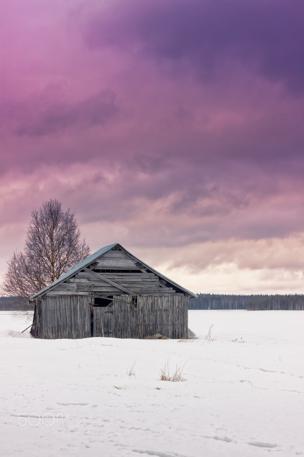 Canon EOS 50D + Canon EF 40mm F2.8 STM sample photo. Winter sunset on the fields photography