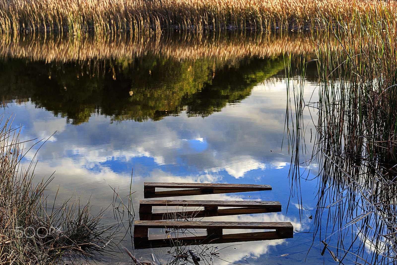 ZEISS Planar T* 50mm F1.4 sample photo. Lake nizanim photography