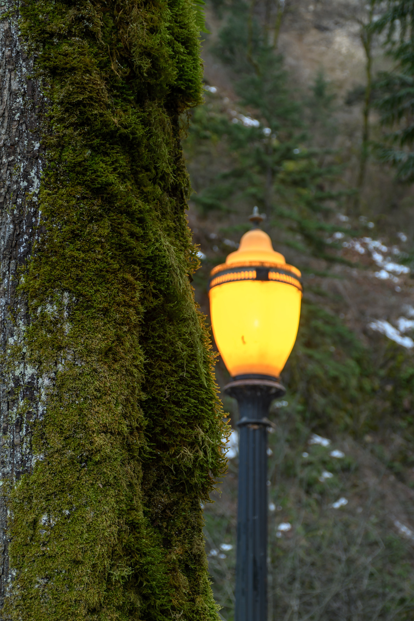 Nikon D500 sample photo. Multnomah falls jan photography