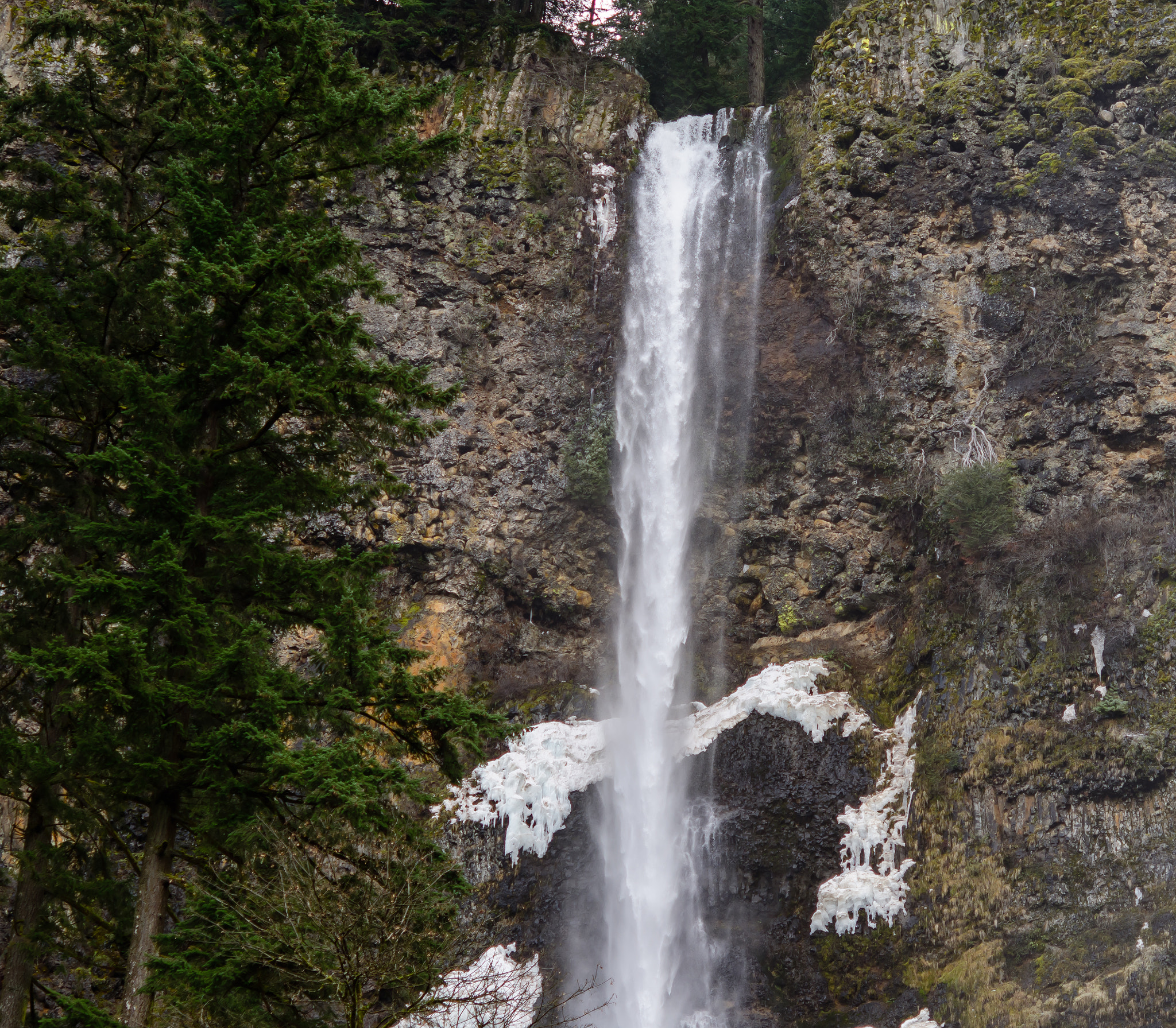 Nikon AF-S Micro-Nikkor 60mm F2.8G ED sample photo. Multnomah falls jan photography